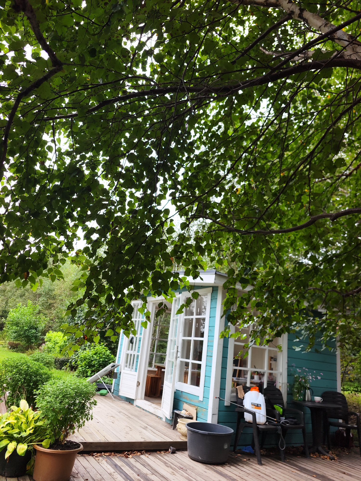 The image depicts a tranquil outdoor scene featuring a small, light blue wooden building with white-trimmed windows and doors, set against a backdrop of lush green foliage. The building appears to be a shed or a small house, with its doors wide open, revealing a glimpse of its interior. In front of the building, a wooden deck extends outwards, adorned with several potted plants, including a large leafy plant with yellow-green leaves in a brown pot and a smaller, bushier plant in a black pot.
A black plastic tub sits on the deck near the left edge of the frame. To the right, a small round table with two black chairs is placed on the deck. On one of the chairs, a white plastic jug with an orange cap is visible, along with a black spray nozzle. The area around the building and deck is surrounded by dense greenery, with trees and bushes creating a natural, secluded atmosphere. The ground on the deck has scattered dry leaves. The overall impression is one of a peaceful, possibly rural or semi-rural, setting. The location is stated to be Solovej-Kljuch, Russia. There are no people visible in the image.