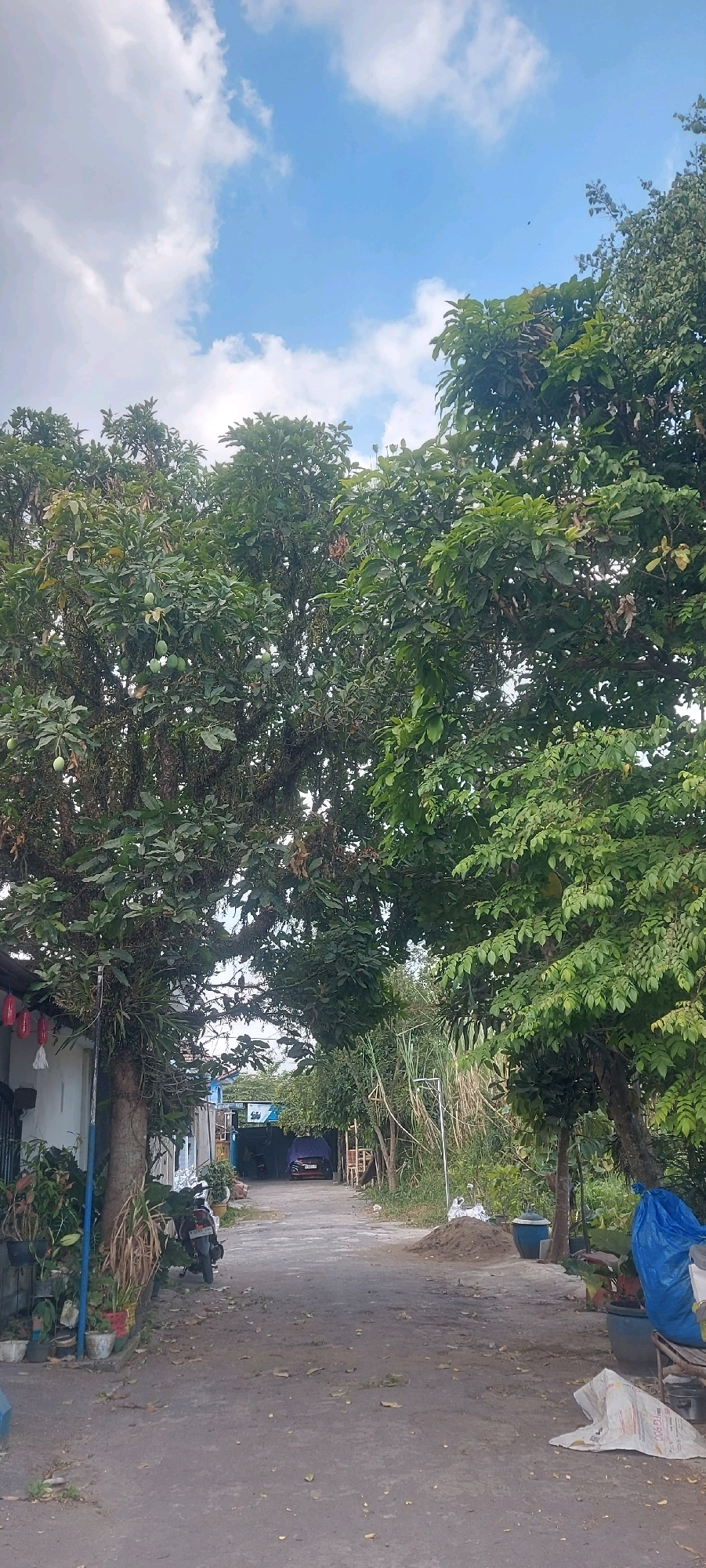 The image depicts a narrow, paved road winding through a residential area, flanked by lush vegetation and trees. On the left, a white building with red lanterns is visible, with potted plants and a motorcycle parked nearby. The road continues into the distance, where a car covered with a blue tarp and another vehicle are parked under a covered structure. Piles of sand and various containers, including large blue pots, are scattered along the roadside, suggesting ongoing construction or maintenance. The sky is a bright blue with scattered white clouds. The overall scene suggests a somewhat rural or suburban setting within the city of Malang, Indonesia.