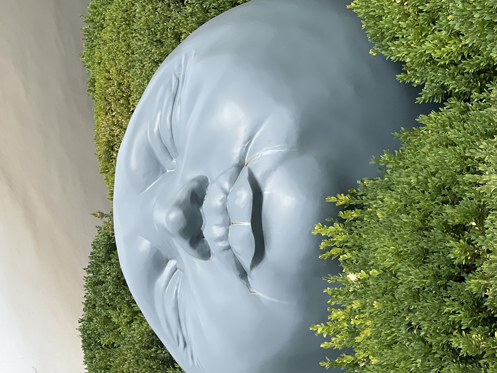 A large, smooth, light blue sculpture resembling a baby's face is partially embedded in lush green bushes in an outdoor setting. The sculpture's eyes are closed, and its mouth is slightly open, with two small reddish marks resembling tears running from the corners of its eyes down its cheeks. The background consists of a neutral-colored wall and more green bushes.