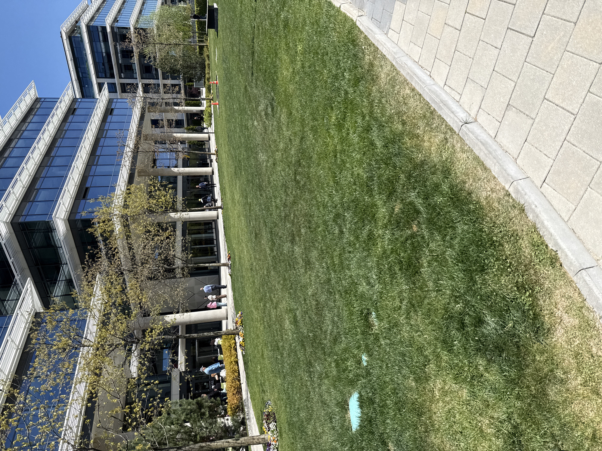 This image captures a vibrant urban outdoor scene in Sofia, Bulgaria, featuring modern architecture, a vast green lawn, and a paved walkway under a clear blue sky.
**Subjects:** Two sleek, multi-story office buildings with extensive glass facades and white architectural elements dominate the left side of the frame. The blue sky and surrounding environment are reflected in their windows. In the foreground and middle ground, a wide, meticulously mown green lawn stretches across the image. A light-colored paved walkway, constructed from rectangular stone blocks, runs along the right edge of the lawn, separated by a concrete curb. Several deciduous trees, featuring sparse, light green spring foliage, are strategically planted near the buildings and along the lawn's edge. Small garden beds with colorful flowers, including yellow, purple, and white blooms, are visible closer to the buildings. Several people are scattered near the buildings, appearing as individuals or small groups, dressed in casual clothing.
**Activity:** The people visible appear to be casually strolling or standing near the buildings, possibly enjoying the pleasant weather or accessing the building entrances. There is no singular, prominent activity or event taking place; rather, it depicts a typical day in a bustling corporate or public park area.
**Notable details:** The scene is bathed in bright sunlight, indicating a clear, sunny day, likely in late morning or early afternoon given the visible shadows. The trees with new, light green leaves suggest the season is early spring. Two small, irregularly shaped light blue patches are noticeable on the grass in the foreground, possibly painted markers or temporary stains. Two orange traffic cones are placed on the lawn near the base of one building. The overall impression is one of a well-maintained, modern, and pleasant urban environment. The location context is Sofia, Bulgaria.
**Visible text:** Some very faint, largely unreadable text is visible on a sign near an entrance on the building's ground floor, possibly advertising a business or providing directions. Specific words are not clearly discernible from the image resolution.