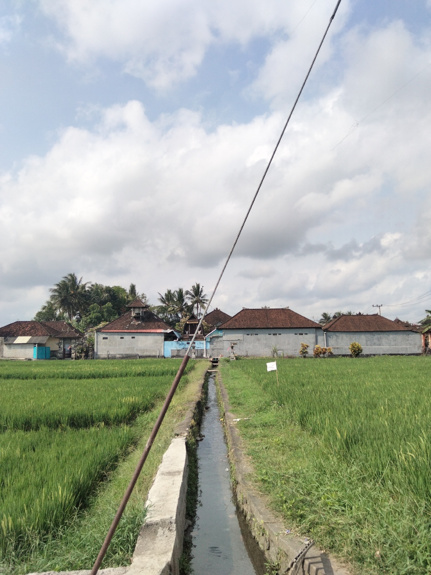 The image depicts a rural landscape in the city of Tabanan, Indonesia, likely a rice paddy area. A narrow irrigation ditch runs through the center of the frame, with lush green rice plants growing on either side. In the background, a row of traditional Balinese houses with terracotta roofs are visible, nestled among palm trees. The sky is partly cloudy, with soft white clouds scattered across a pale blue expanse. A thin wire stretches diagonally across the upper portion of the image, possibly an electrical or communication line, supported by a leaning pole in the foreground. The scene is tranquil and evokes a sense of rural life.