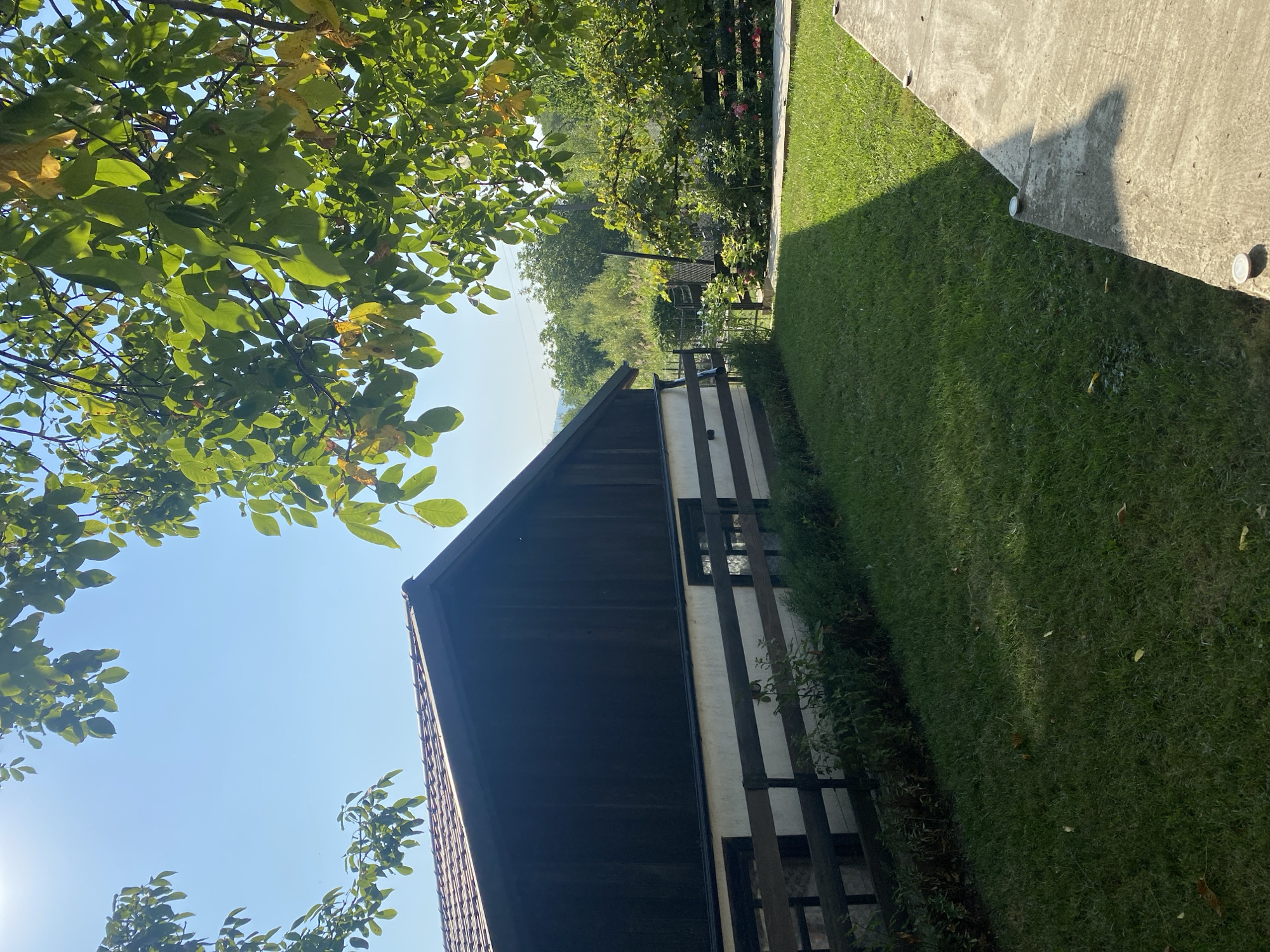 The image depicts a sunny day in a rural or suburban setting, likely in or near Târgu Neamț, Romania, characterized by a building and lush greenery. In the foreground, a well-maintained lawn with scattered fallen leaves is visible. To the right, a concrete pathway casts a distinct shadow across the grass. Behind the lawn, a dark wooden-sided building with a tiled roof is partially obscured by the branches of a large tree with vibrant green and some yellowing leaves. A low wooden fence runs along the base of the building, separating it from the lawn. Beyond the building, a garden area with various plants, flowers, and more trees can be seen, suggesting a residential or agricultural property. The sky is clear and blue, indicating fair weather. There are no people or animals in the frame.