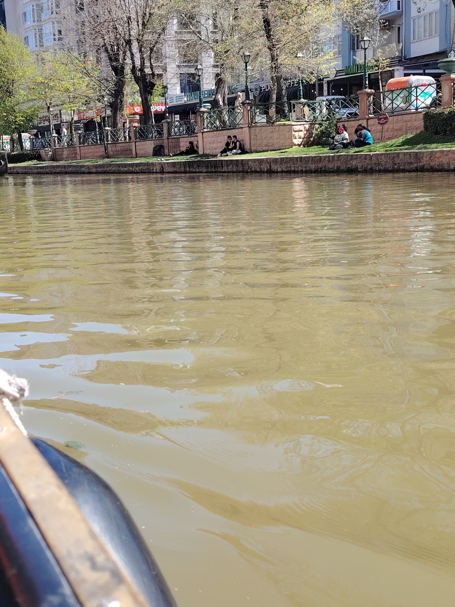 This media file presents a vibrant daytime scene along a waterway, likely a canal or river, in an urban setting identified as Eskisehir, Turkey. The photograph is taken from a low perspective, possibly from a boat, as suggested by the dark-colored hull and rope visible in the bottom left corner. The majority of the frame is filled with the water, which appears murky green-brown with ripples reflecting the sunlight.
Along the far bank, a meticulously maintained green lawn stretches, where several individuals are seen relaxing. Some are sitting alone, while others are in small groups, casually enjoying the pleasant weather. This grassy area is bordered by a decorative low stone wall, topped with an ornate dark metal fence that runs the length of the bank.
Behind the fence, a row of trees with a mix of budding green leaves and bare branches indicates the season might be spring. Interspersed among the trees are classic streetlights. Further back, multi-story buildings with various architectural styles form the backdrop, characteristic of a bustling city center. Visible text on signs includes "PUFFE COFFEE" and "TRAVELLERS," suggesting commercial establishments.
The overall atmosphere is one of leisure and tranquility, highlighting a popular spot for relaxation and potentially recreational boat rides, akin to Eskisehir's well-known Porsuk River. The bright sunlight and clear sky contribute to the inviting and calm mood of the scene.