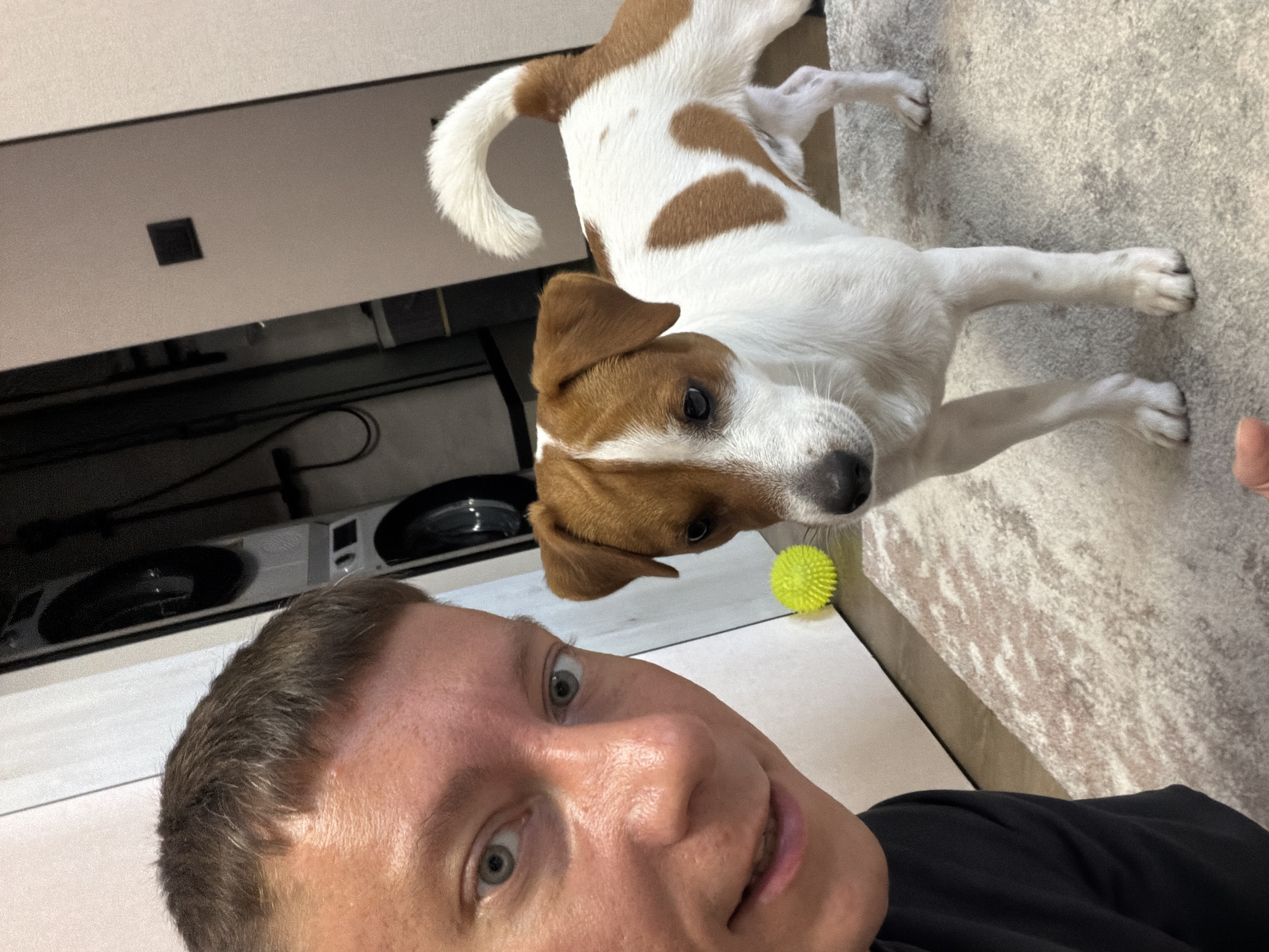 A person is taking a selfie with their dog. The person's face fills the foreground, with their eyes wide open and a slight smile. They have short brown hair. Their dog, a Jack Russell Terrier with white and brown markings, is in the background, looking towards the camera. The dog's tail is curled upwards. A small, bright yellow ball is visible on the floor near the dog. The setting appears to be indoors, possibly a home, with a light-colored floor that looks like carpet or a textured rug. In the background, there are glimpses of furniture and what might be kitchen appliances, including a sleek silver object with circular elements. The lighting suggests it is daytime. The overall mood is playful and affectionate, with both the person and the dog appearing engaged and happy. The location context is Moscow, Russia. There is no visible text in the image.