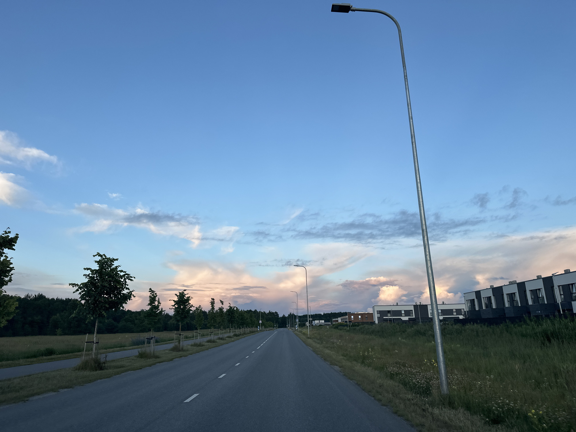The image depicts a road in the city of Tiskre, Estonia, during the evening. The sky is a vibrant mix of blue and pink clouds, indicating either sunrise or sunset. On the right side of the road, modern multi-story residential buildings with dark and white facades are visible. The road itself is paved and has white lane markings. On the left side of the road, a row of young trees lines the path, with a grassy field and a dark forest in the background. A tall street lamp stands prominently on the right side of the road, near the foreground. There are no people visible in the scene.