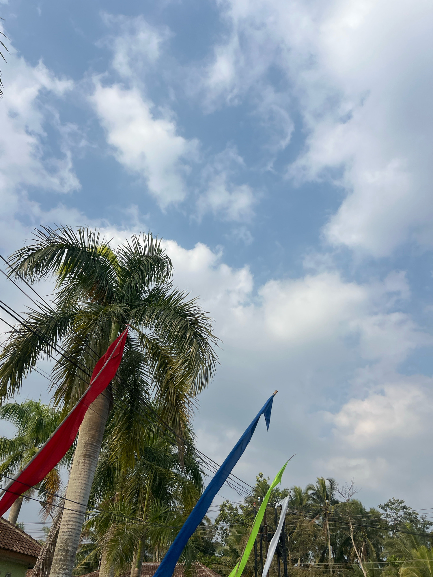 In Wukirsari, Indonesia, under a bright sky with scattered clouds, a close-up shot captures a vibrant scene dominated by palm trees and colorful flags. A large palm tree with a rough, textured trunk stands prominently on the left, its fronds fanning out against the blue sky. A bright red fabric flag drapes from the tree, partially obscuring it. To the right, a blue flag with a pointed end extends upwards, attached to a thin pole. Further to the right and slightly lower, a green fabric flag and a white fabric flag are visible, also extended upwards. In the background, more palm trees and dense foliage are present, along with a glimpse of rooftops and electrical wires crisscrossing the scene, indicating a semi-urban or village environment. The perspective is from below, looking upwards towards the sky and the tops of the trees and flags.