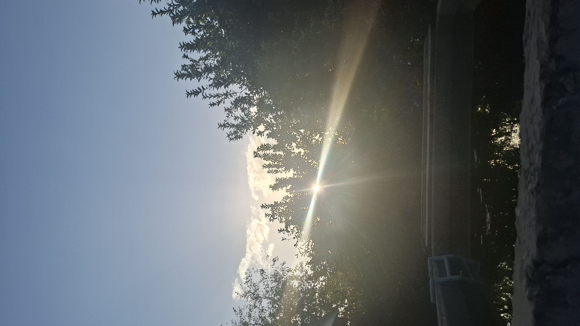 The image depicts a serene outdoor scene, likely in Shubarssu, Kazakhstan, dominated by the warm glow of the setting or rising sun filtering through lush green foliage. The sun's rays create a lens flare effect, casting a bright beam across the frame and illuminating wispy clouds in the sky. In the foreground, a dark, reflective surface, possibly water or a dark concrete area, mirrors the light. A white and blue object, resembling a pool accessory or a part of a structure, is partially submerged in this dark surface on the left side. The overall impression is one of natural beauty and tranquility, with the interplay of light and shadow adding depth and mood to the composition.