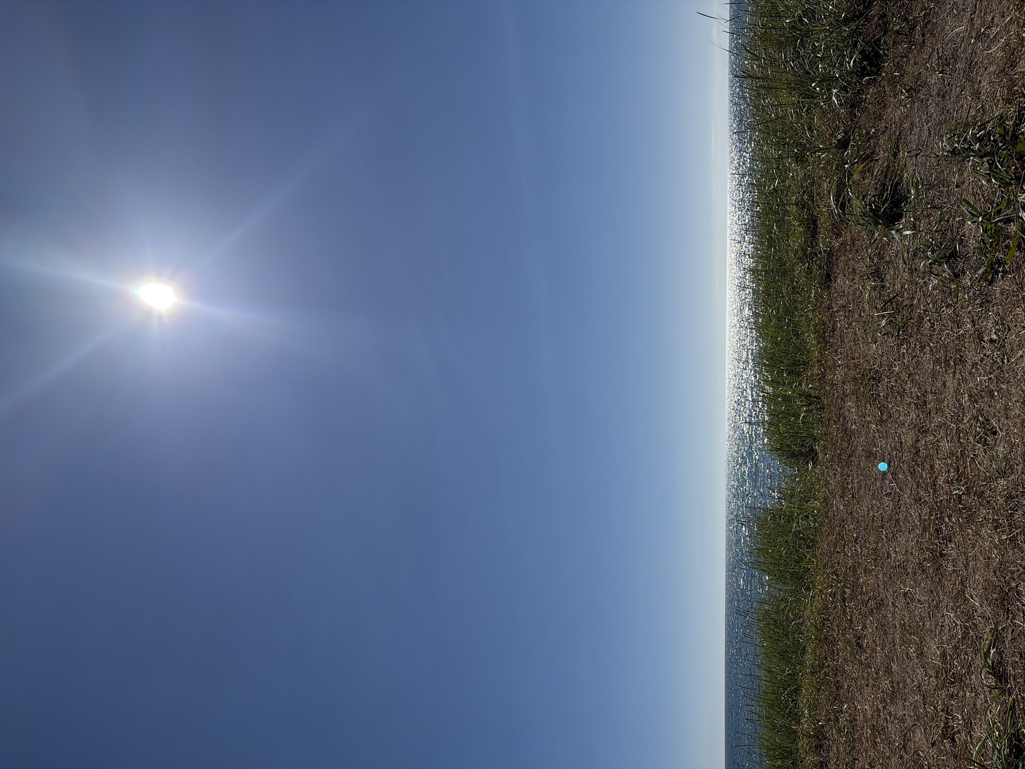 This image depicts a bright, sunny day overlooking a body of water. The sky is a clear, vibrant blue, with the sun positioned in the upper portion of the frame, casting a strong glare and lens flare. Below the sky, the water stretches across the horizon, shimmering with reflected sunlight. Along the foreground, there is a patch of dry, brown earth with sparse vegetation and tall, green grasses growing towards the water. In the lower center of the foreground, a small, bright blue object is visible, possibly a piece of litter. The scene appears to be a natural landscape, likely a shoreline or embankment, with no visible man-made structures or individuals present. The location is stated to be in the city of Ozerskoe, Russia, though there are no specific identifying landmarks within the image itself to confirm this.