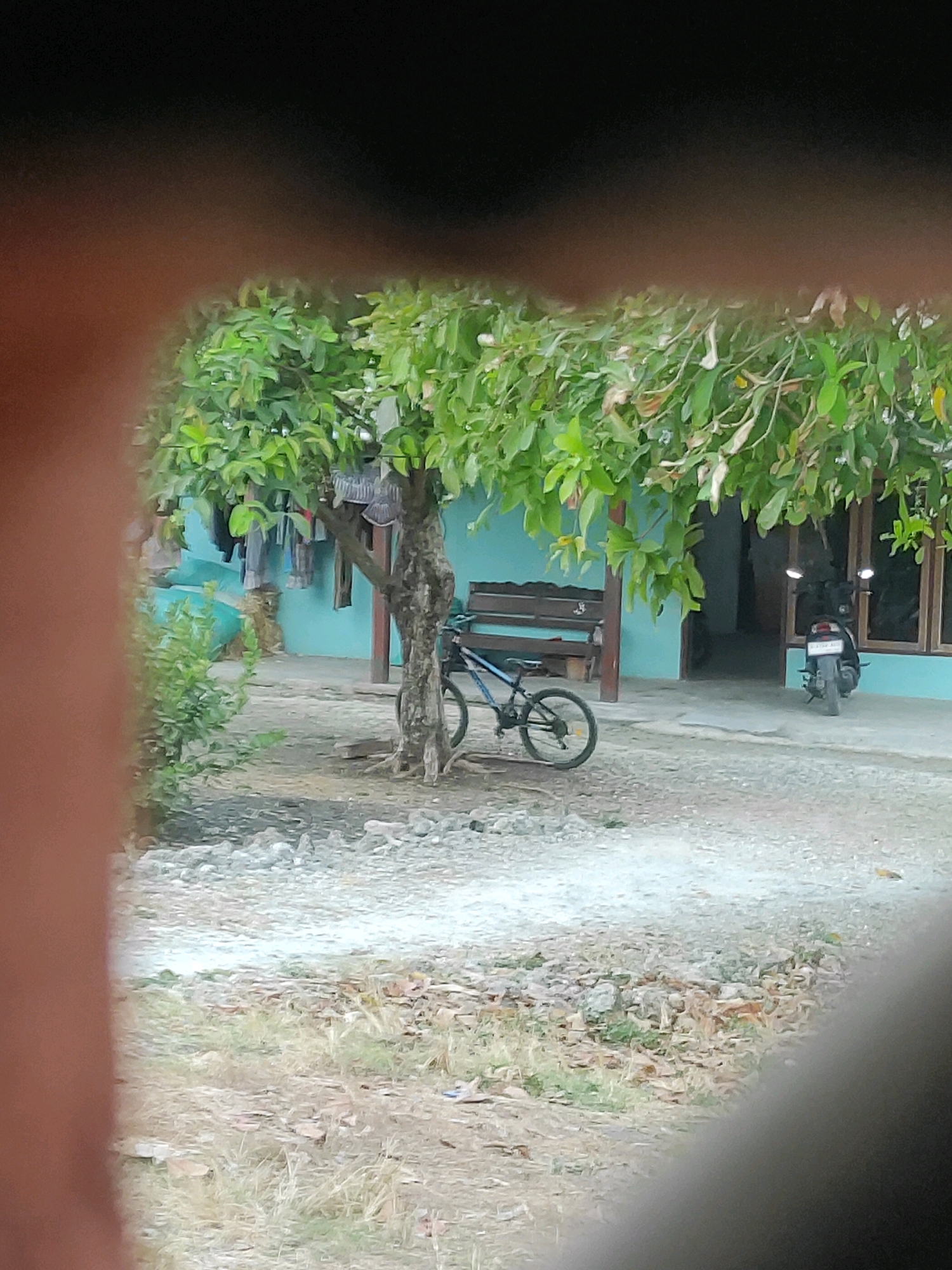 In Buntalan, Indonesia, a blurry, outdoor scene depicts a yard in front of a turquoise building. A tree with green leaves stands in the center, with laundry hanging on a line strung between it and the building. To the left of the tree, a young tree with sparse foliage is visible. In front of the tree, a bicycle with a blue frame is parked. A wooden bench sits near the building. To the right of the building entrance, a black motorcycle is parked. The ground is covered with gravel and dry vegetation. The foreground is obscured by a large, blurry, brown shape that appears to be a hand or arm.