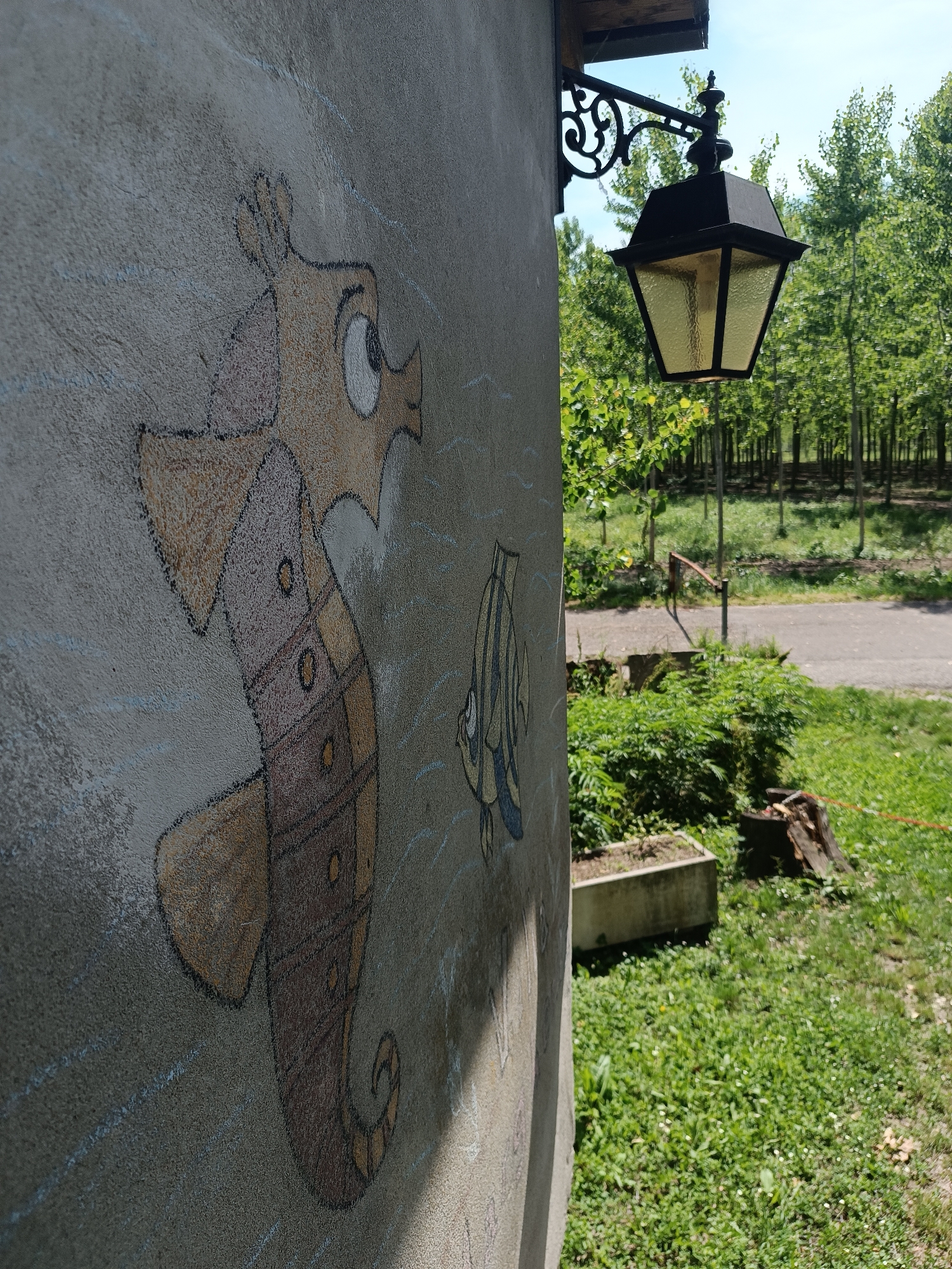 The image depicts a section of an exterior wall adorned with cartoonish drawings of sea creatures, specifically a large seahorse and a smaller fish. The wall is textured and appears to be made of a rough material. To the right of the wall, an ornate black lantern is mounted, extending outwards. The background reveals a lush outdoor scene with a grassy area, trees, and a paved road leading through the trees. This scene is located in Brescello, Italy.