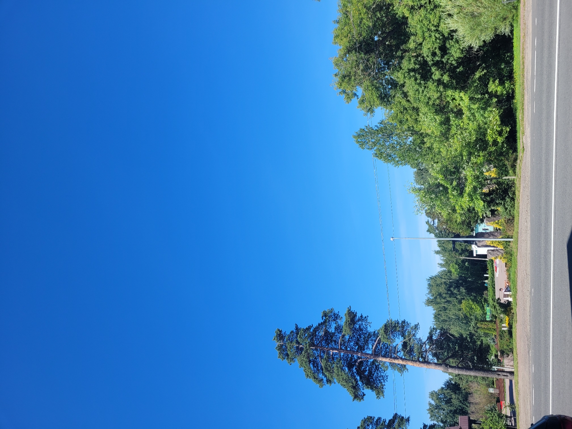 The image captures a bright, clear day in Lisy Nos, Russia. The sky is a vibrant, cloudless blue, dominating the upper portion of the frame. In the mid-ground, a variety of trees line the horizon, with a prominent tall pine tree on the left. Below the trees, a paved area transitions to a grassy verge alongside a road. The road itself is visible in the foreground, marked with white lines. A person is seated on a bench in the distance, amidst a landscaped area with small trees and decorative stones. Several buildings, including a light-colored structure with a blue roof and a wooden building, are partially visible among the trees. Electrical wires are strung across the scene.