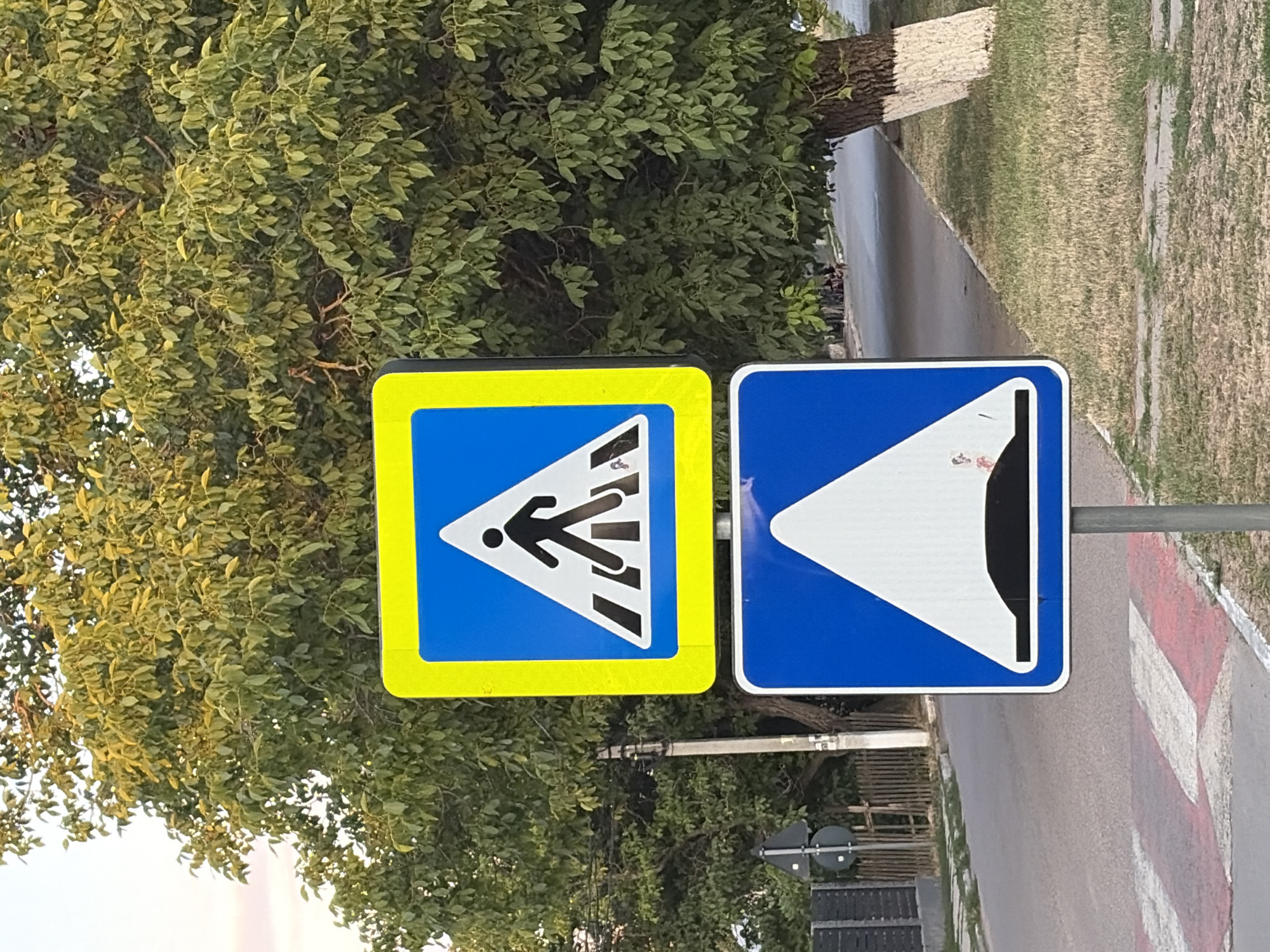 The image depicts two traffic signs mounted on a pole in Oxentea, Moldova. The top sign is a pedestrian crossing sign, featuring a black silhouette of a person walking across a crosswalk on a blue background, bordered by a bright yellow frame. Below it, a second sign indicates a speed bump, displaying a black hump shape on a blue background, also with a yellow border. The signs are situated near a road with a marked crosswalk visible in the foreground. A large tree with green foliage provides shade in the background, and a grassy area lines the side of the road. The overall scene suggests a residential or pedestrian-heavy area where traffic calming measures are in place.