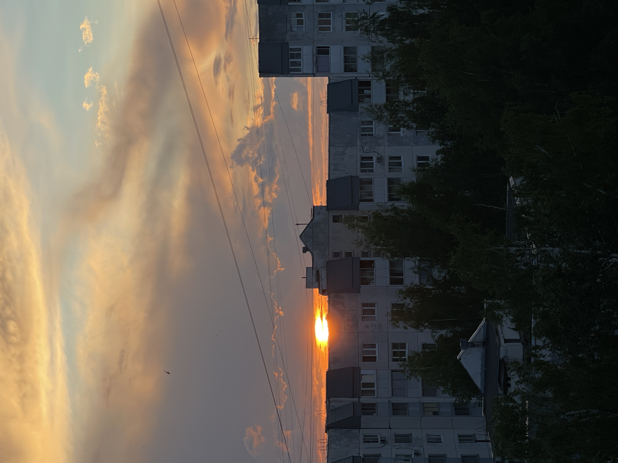 A medium shot captures a view of apartment buildings and trees against a sunset sky. The sun, a bright orange orb, is partially obscured by clouds as it sets behind the buildings. The sky is a mix of orange, yellow, and blue, with wispy clouds scattered throughout. The apartment buildings are tall and gray, with many windows. Trees in the foreground are dark green and leafy. A few power lines are visible crisscrossing the sky. The scene is likely in a residential area of Moscow, Russia.