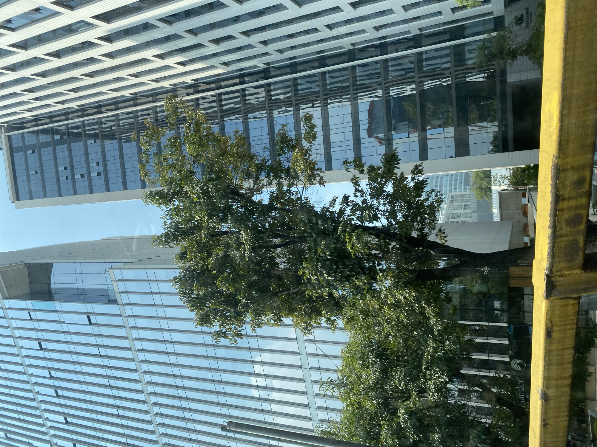 The image depicts a street scene in an urban environment, likely a business district. Dominating the view are two modern skyscrapers with glass facades reflecting the sky and surrounding buildings. A mature tree with lush green foliage partially obscures the view of the buildings, its branches extending across the frame. In the foreground, a yellow metal structure, possibly part of a bus or construction element, is visible. The location of the scene is Unknown, Unknown.