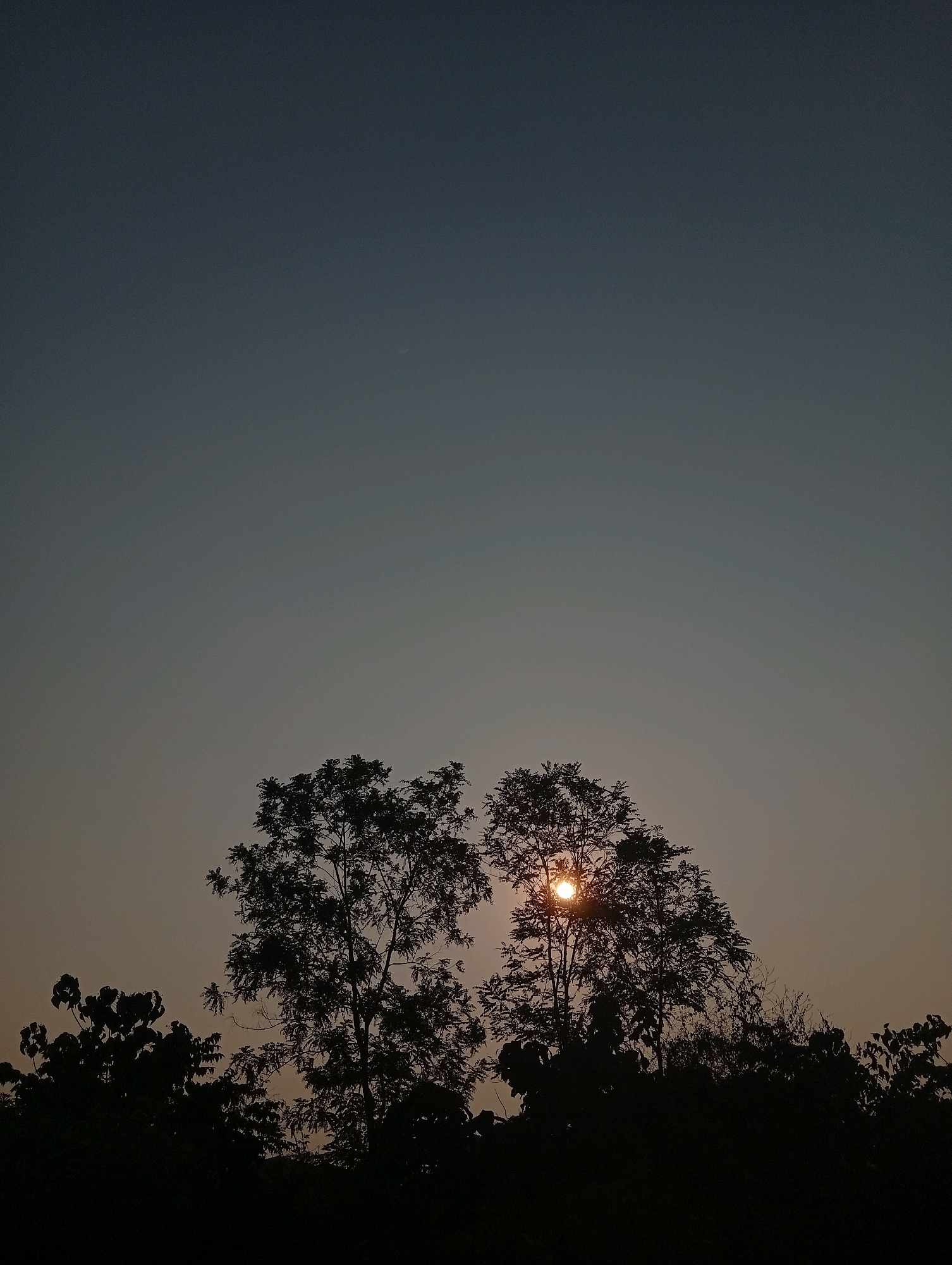 The image depicts a silhouetted treeline against a dusk sky. Two prominent trees in the center are partially obscured by the setting sun, which appears as a bright, circular orb peeking through their branches. The sky transitions from a darker blue at the top to a lighter, warmer hue closer to the horizon. Below the treeline, the ground is not visible, suggesting the photo was taken from a slightly elevated position or looking upwards. The scene is devoid of human presence or activity, conveying a sense of natural tranquility. The location, Teluk Kenidai, Indonesia, suggests a tropical or subtropical setting, consistent with the foliage and atmospheric conditions.