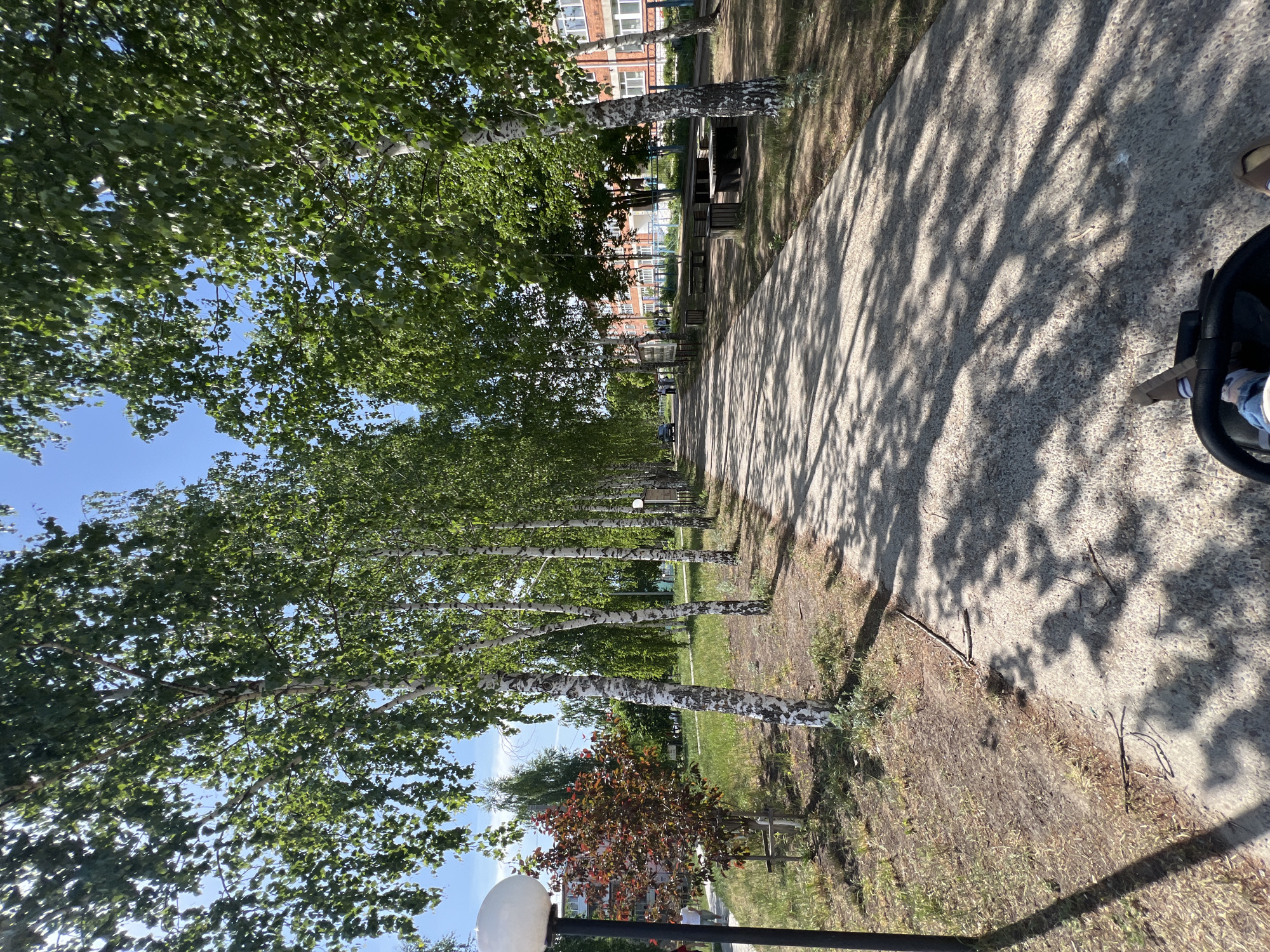 The image captures a path in Noviy Urengoy, Russia, lined with birch trees on one side. The path is paved with concrete, and dappled shadows from the trees fall across its surface. Adjacent to the path is a grassy area. In the background, a multi-story brick building is partially visible. A small tree with reddish leaves is present near the path, along with a lamp post. To the right of the image, a stroller with a child inside is partially visible.