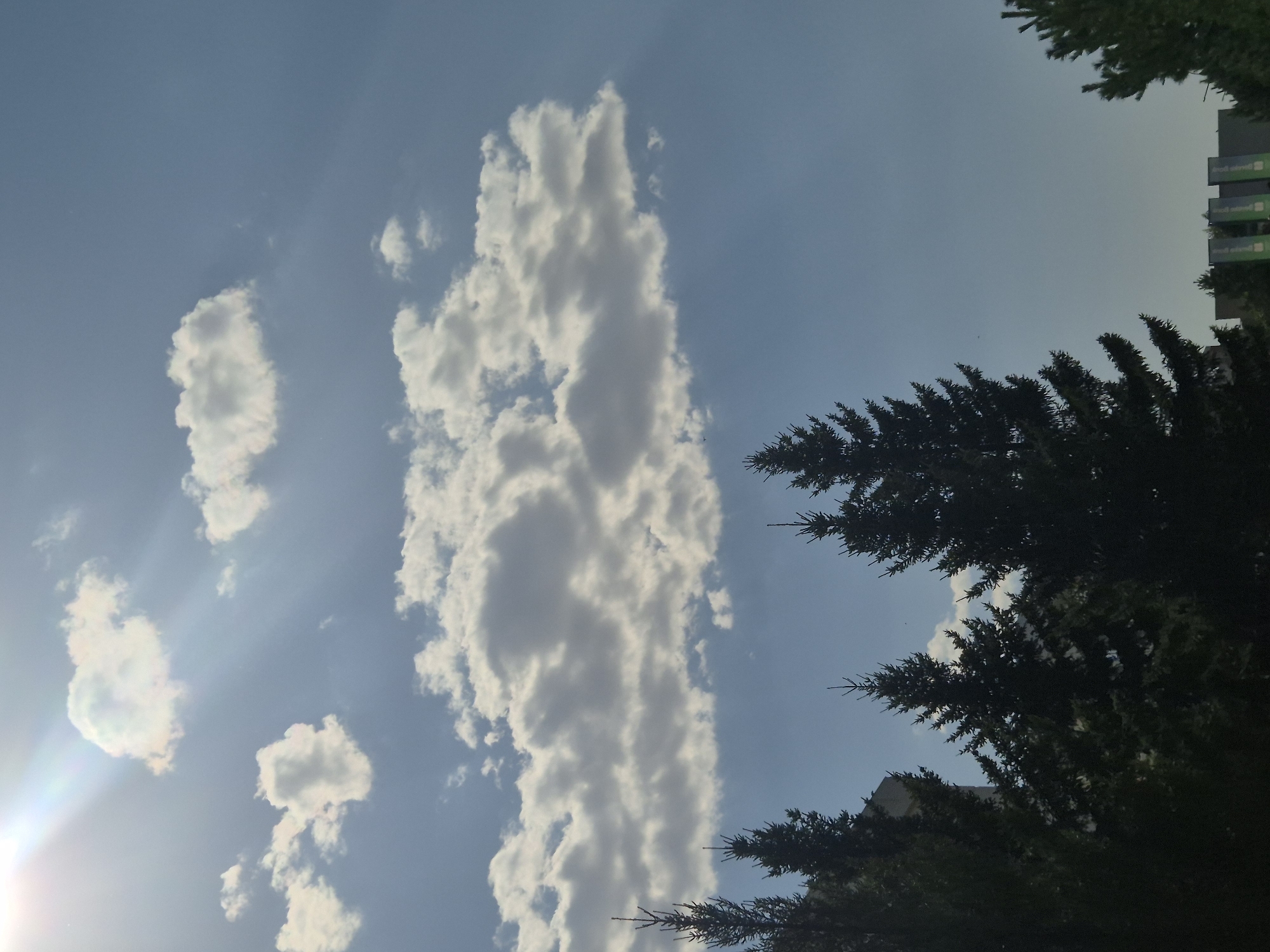 This image captures a daytime scene in Kokshetau, Kazakhstan, characterized by a clear blue sky with scattered cumulus clouds. The sun is visible in the upper left, casting sunbeams through the clouds. In the foreground, the silhouettes of several coniferous trees are prominent, with some buildings partially visible behind them on the left side. The overall atmosphere is serene, with no people or discernible actions taking place. The environment suggests an outdoor, possibly urban or suburban, setting.