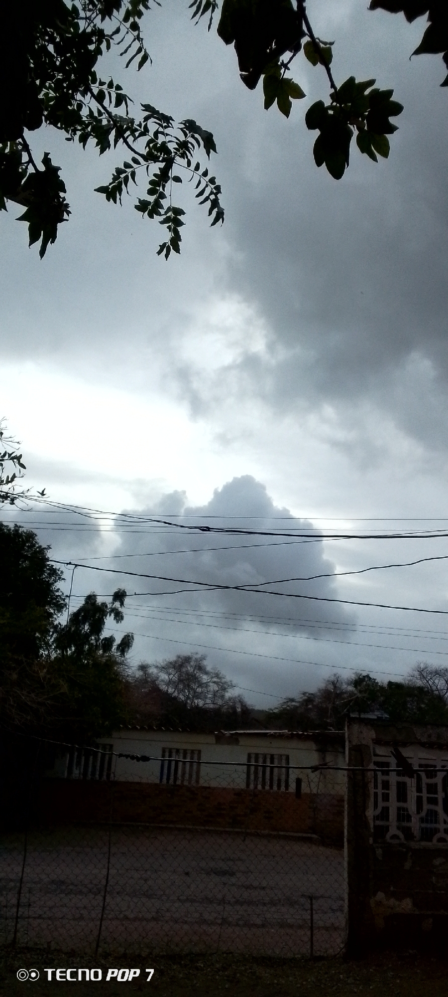 The photograph depicts a cloudy sky with foliage in the upper frame, suggesting a view from within a residential area. Electrical wires traverse the scene horizontally against the backdrop of the sky and clouds. In the middle ground, there are trees, some bare, and the tops of buildings with windows are visible. A chain-link fence and parts of a weathered stone structure appear in the foreground. The image was taken in Altagracia, Venezuela.