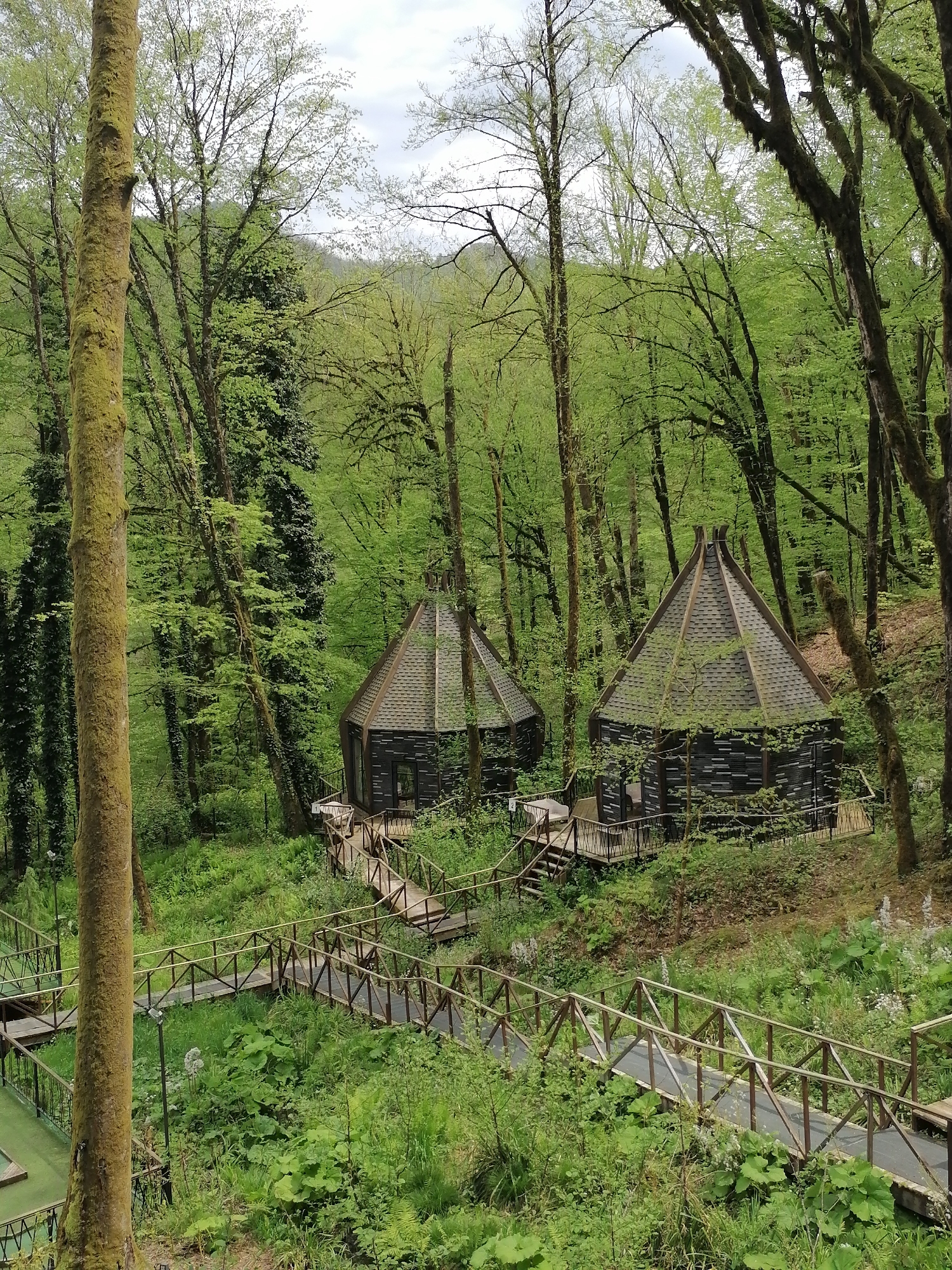 The image shows a forest scene in Medoveevka, Russia. Two dark-colored, cone-shaped cabins with gray, shingled roofs are visible, connected to a network of elevated wooden walkways with railings that wind through the lush green undergrowth. The cabins appear to be built on platforms. Tall trees surround the cabins, with varying shades of green foliage. Some trees are covered in moss. In the foreground, a portion of the wooden walkway is visible, leading away from the viewer. A stream or small body of water is visible to the left of the walkway, with similar wooden construction alongside it. The overall scene depicts a secluded, natural setting with unique architectural structures designed to blend with the environment.