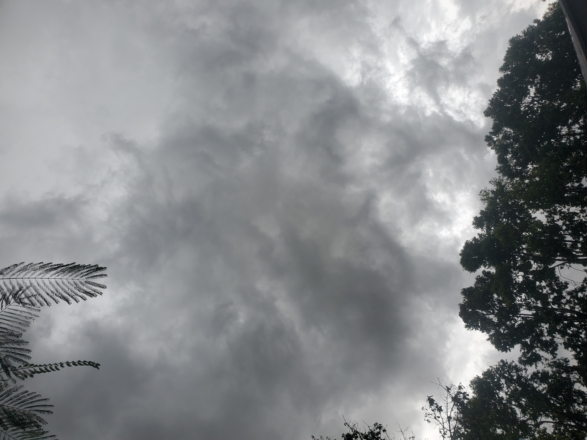 The image depicts an overcast sky filled with dark, heavy clouds, suggesting impending rain or a recent downpour. The perspective is upward, looking towards the sky, with the silhouettes of the tops of several trees filling the lower portion of the frame. Some fronds of a fern-like plant are visible hanging from the top left of the image. The overall scene conveys a somber, perhaps humid, atmosphere. The location is identified as Jos, Nigeria. There are no people or specific actions visible.