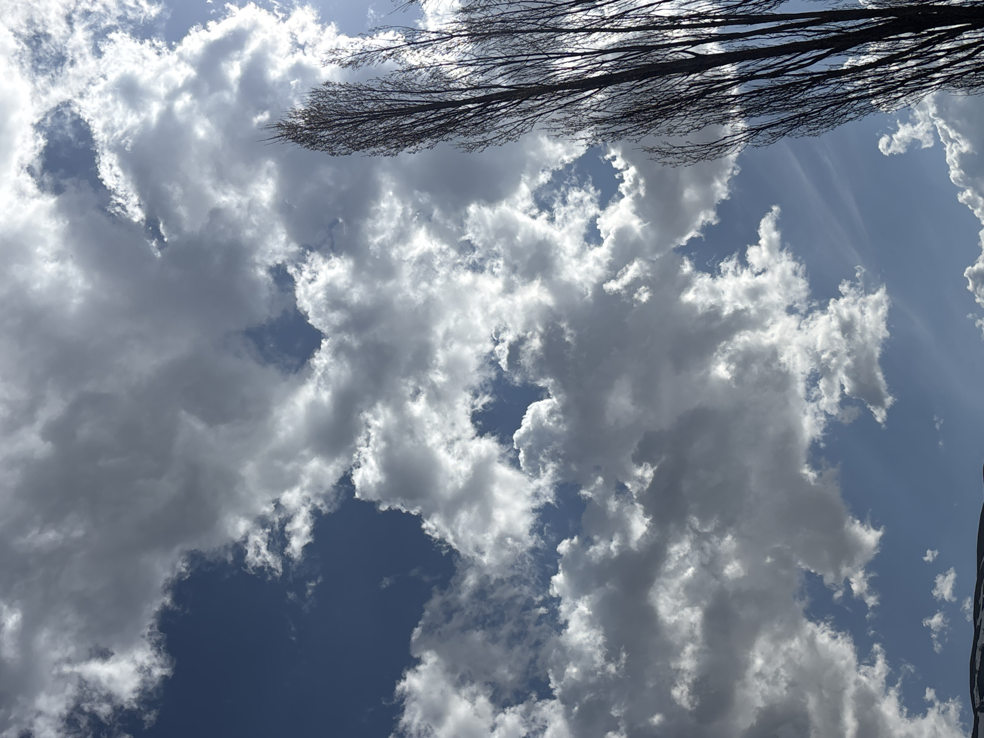 The image shows a view looking up at a sky filled with cumulus clouds and some bare tree branches. The clouds are primarily white and gray, with varying densities, against a blue sky. The tree branches, lacking leaves, are in the upper part of the frame and partially obscure the sky. It is not possible to verify the location as the city of Dilijan, Armenia without additional contextual information.