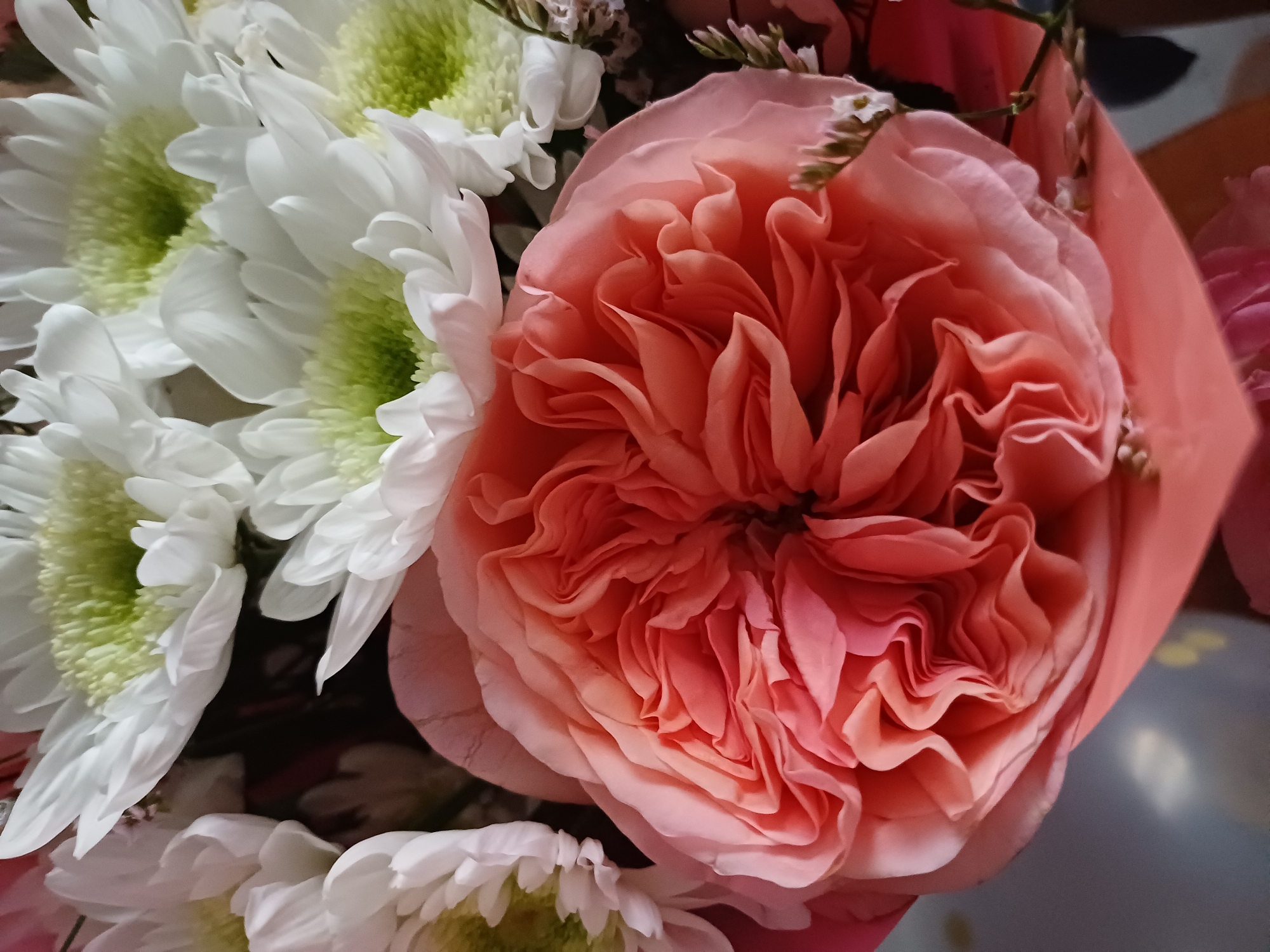 This is a close-up, eye-level shot of a bouquet of flowers. The main focus is a large, ruffled rose in shades of coral and peach, its petals tightly packed and layered. To the left and bottom of the rose are several white chrysanthemum blooms with bright green centers, their petals long and slender. Some smaller, delicate white flowers with thin stems are also visible, interspersed among the larger blooms. The flowers appear to be fresh and in full bloom. The background is dark and out of focus, with hints of pink wrapping, suggesting the bouquet is presented in some form of packaging. The lighting is soft and diffused, highlighting the textures and colors of the petals. There are no people, text, or specific location cues visible. The overall mood is one of natural beauty and delicate elegance.