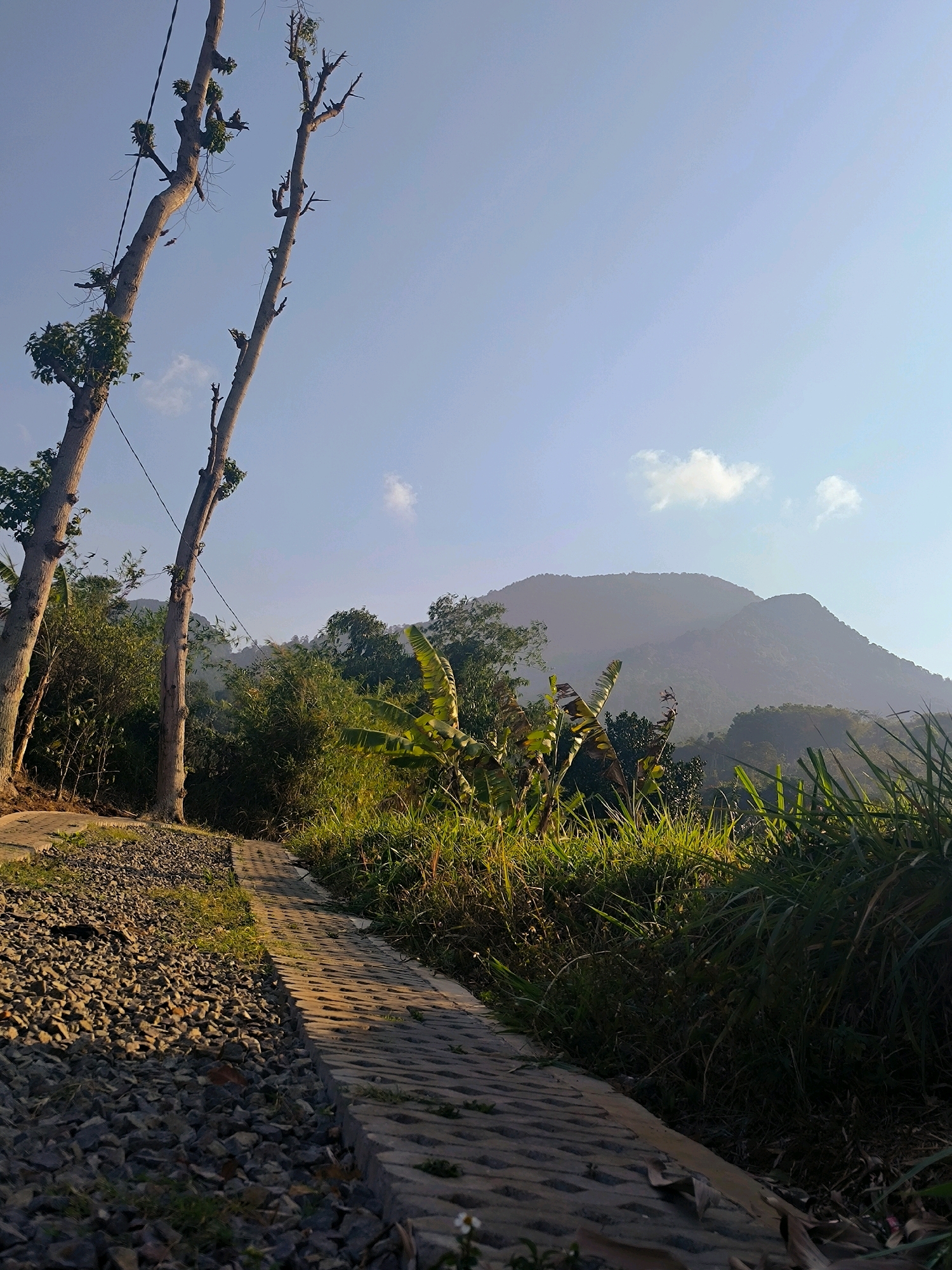 The image depicts a pathway made of interlocking concrete blocks, bordered by gravel on the left and lush vegetation on the right. The pathway leads into a landscape with trees, foliage, and a distant mountain range under a clear blue sky with scattered clouds. The scene appears to be an outdoor environment, possibly in a rural or semi-rural area. The lighting suggests it is either early morning or late afternoon, casting shadows along the pathway. The overall atmosphere is serene and natural.