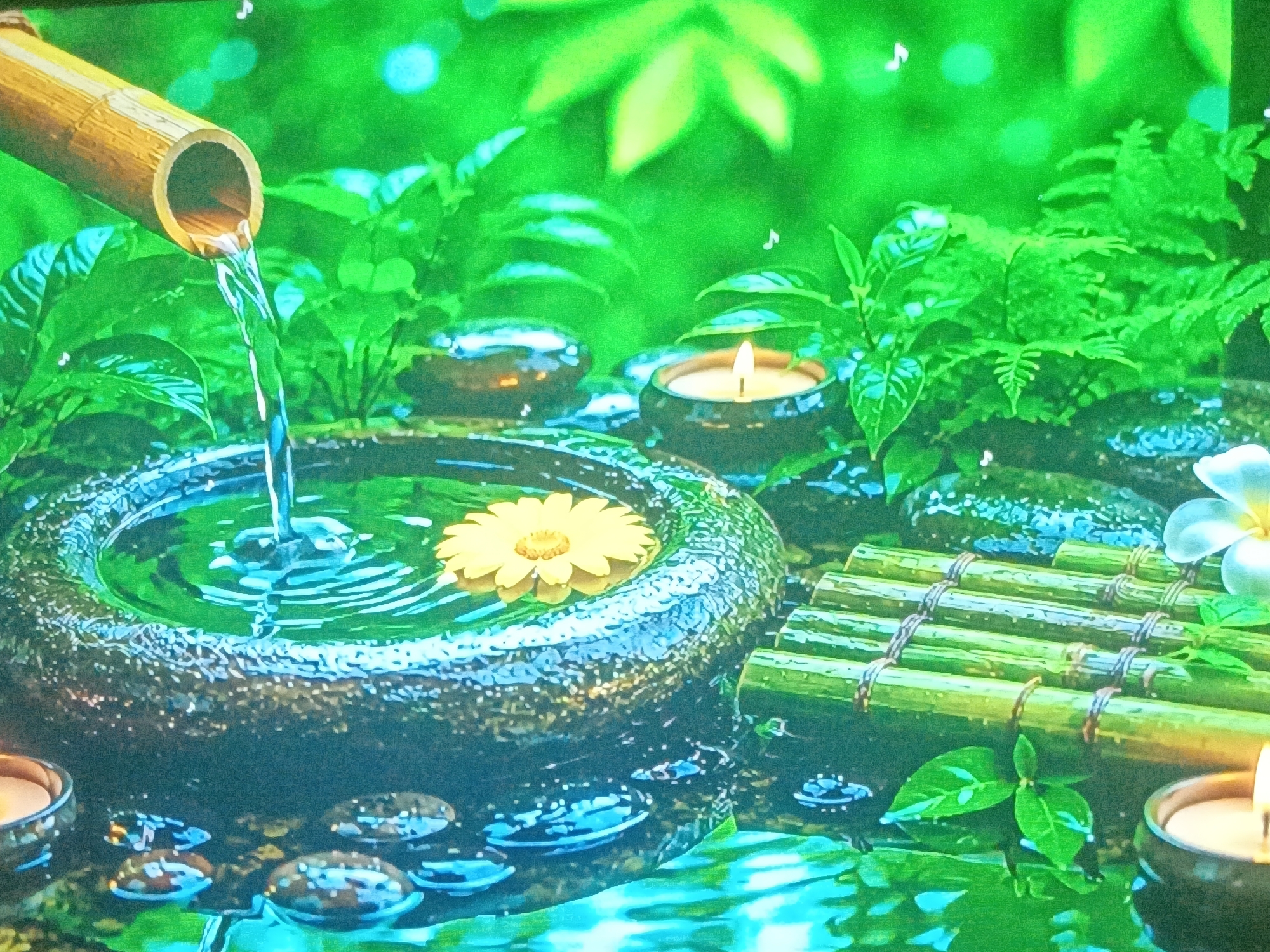The image shows a zen garden scene. A bamboo pipe pours water into a stone basin containing a yellow flower. Small candles are placed around the basin, and smooth stones are scattered on a reflective surface that mimics water. A small bamboo bridge with white flowers lies to the right. The background is filled with green foliage and out-of-focus light spots. There's no indication of Juan Griego, Venezuela.