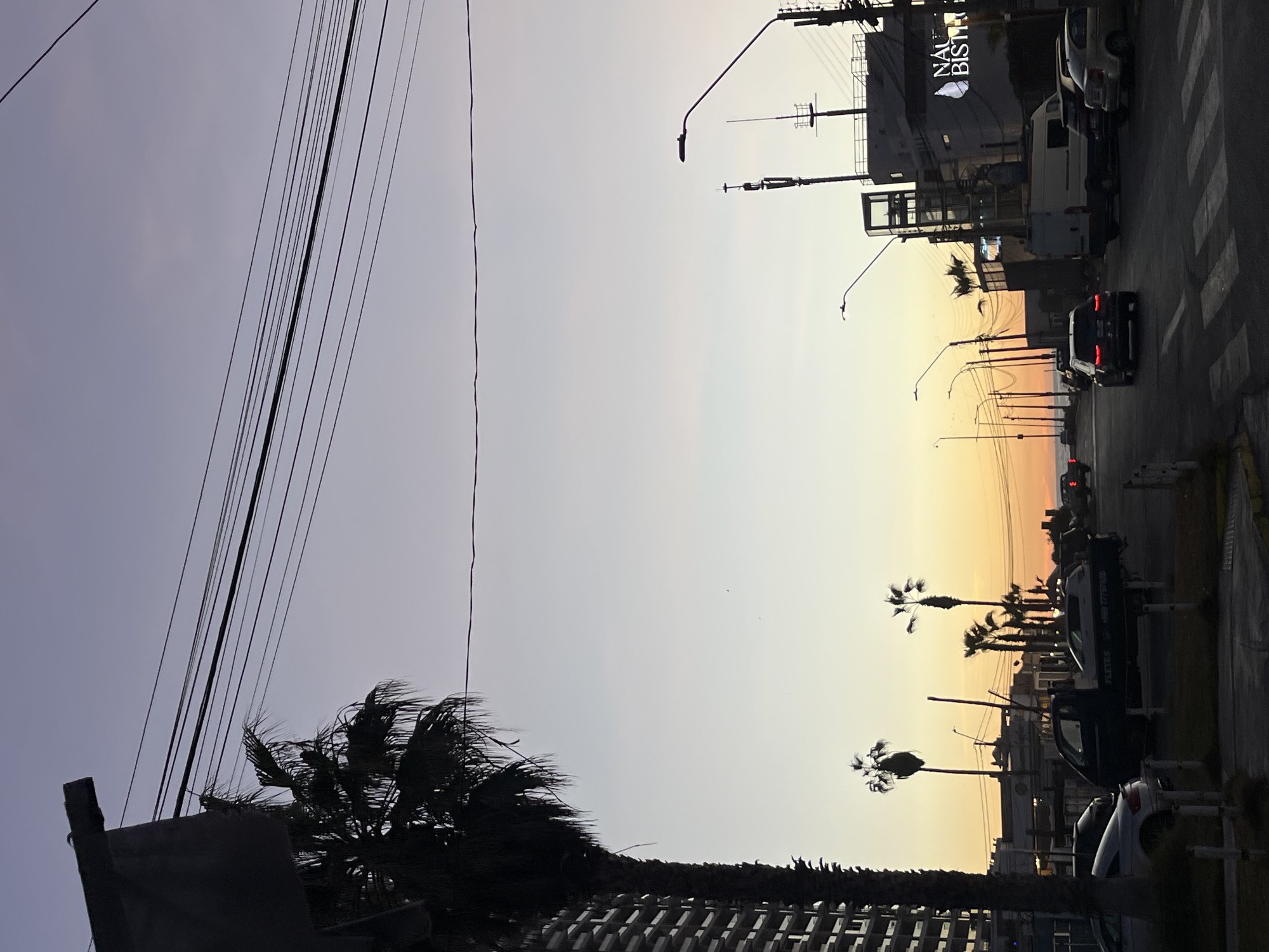 The image captures an urban street scene at either sunrise or sunset, evidenced by the gradient sky transitioning from a soft purple-blue to a warm orange-yellow. The photograph is taken from a slightly elevated perspective, looking down and across the street.
In the foreground, a dense network of black utility wires stretches across the upper left portion of the frame, converging towards the center. Below these wires, the silhouette of a large palm tree with wind-blown fronds is prominent, obscuring a dark building structure. Another building roof with visible tiles is also partially visible on the bottom left.
The midground features additional palm trees, their dark silhouettes standing against the bright, colorful sky. Several streetlights are also visible, their poles extending upwards. The lighting creates a strong backlighting effect, emphasizing the outlines of objects and making details on the street level less distinct.
On the right side of the image, a street with vehicles is visible. Cars, a white van, and a dark truck are seen parked or in motion. One truck has the word "FLETES" faintly visible on its side. A building with a brightly lit sign reading "NAL BISTRO" and a shell-like logo stands prominently. A crosswalk is marked on the pavement in the far right. A lone person is faintly visible walking on the sidewalk near the crosswalk. The overall impression is a bustling urban environment bathed in the soft, warm glow of early morning or late evening light.