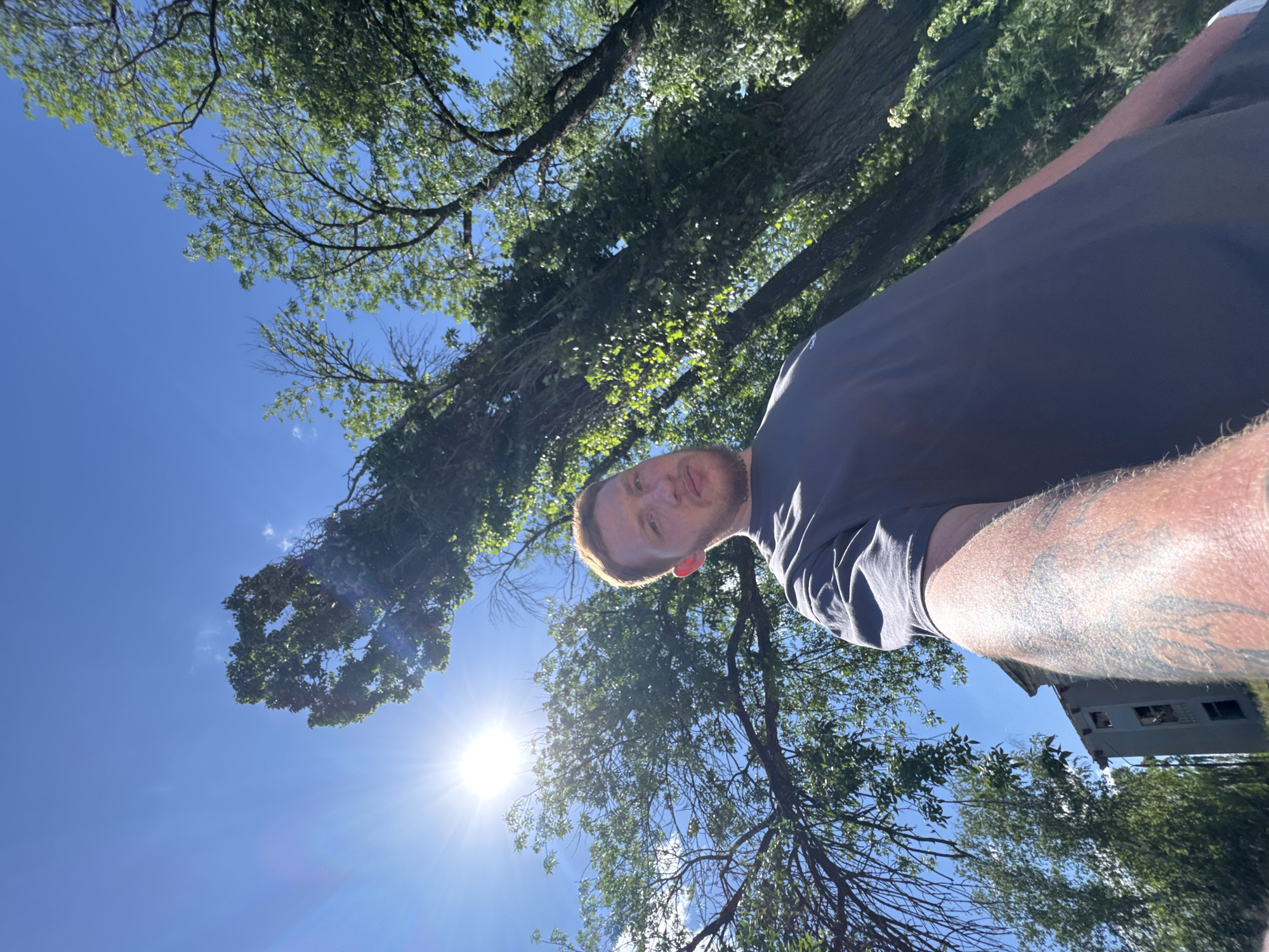 A low-angle, outdoor selfie shows a Caucasian man with red hair and a beard, wearing a dark grey t-shirt, looking at the camera. He has tattoos on his left arm, which is extended to capture the shot. The background is dominated by a bright blue sky with a visible sun and lens flare, partially obscured by the lush green foliage of tall trees. The trees are angled and appear to be growing upwards and outwards. To the far left, in the lower portion of the frame, a dilapidated, multi-story building with broken windows is visible, suggesting an urban or abandoned setting. The overall scene is brightly lit by sunlight.
