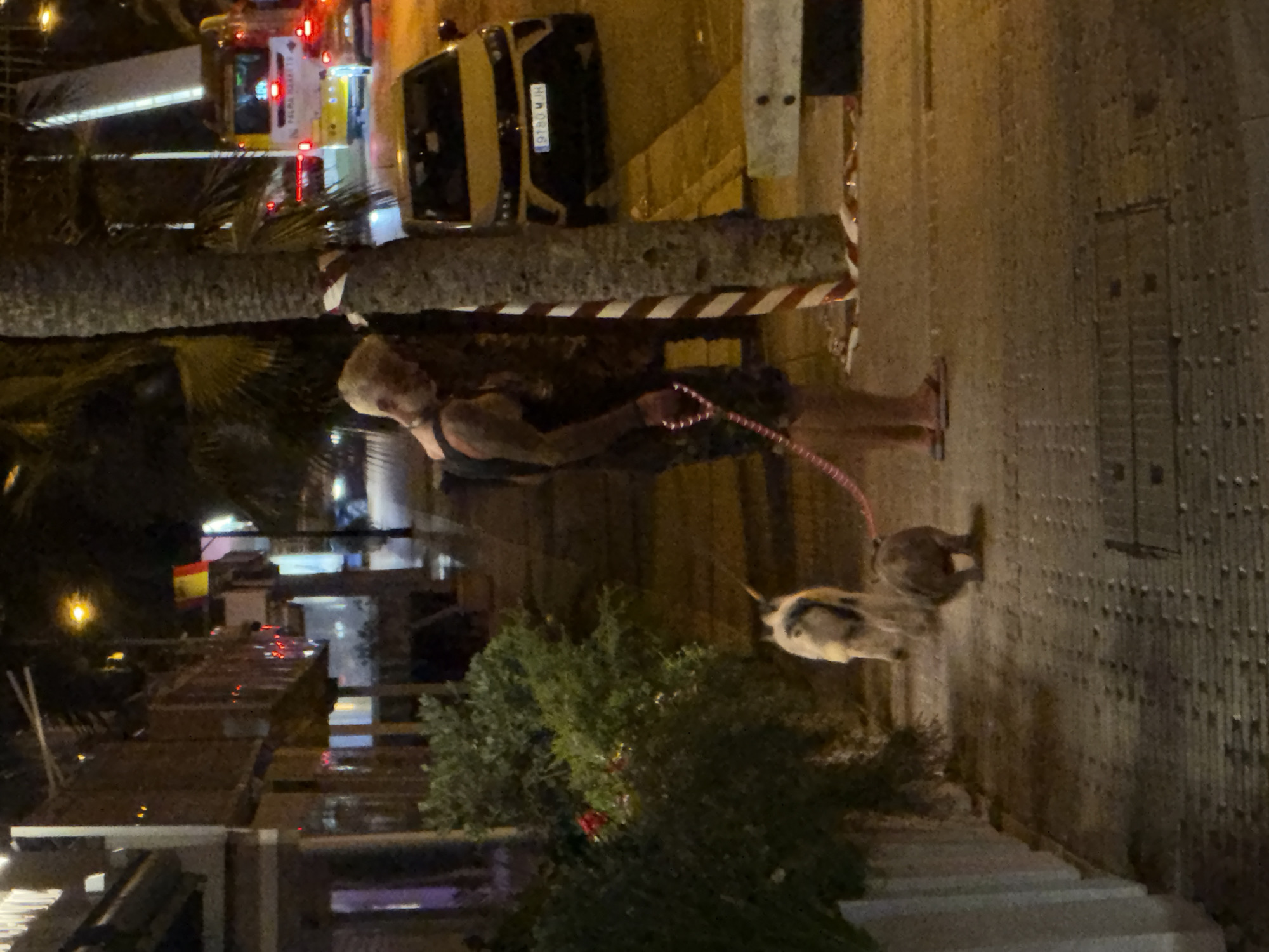 A person is walking two dogs on a leash along a sidewalk in Palmanova, Spain at night. The person, with blonde hair and tattoos on their arms, is wearing a dark tank top and patterned shorts, with flip-flops on their feet. One dog appears to be a medium-sized breed with a tan and white coat, while the other is a smaller, dark-colored dog. They are on a pink leash. The sidewalk is paved with rectangular stones. To the left, there are buildings with storefronts, and to the right, a yellow car is parked, and a bus with "PALMA MAHAMET" written on it is visible in the background, suggesting a street scene. Palm trees are present in the environment, and streetlights illuminate the area.
