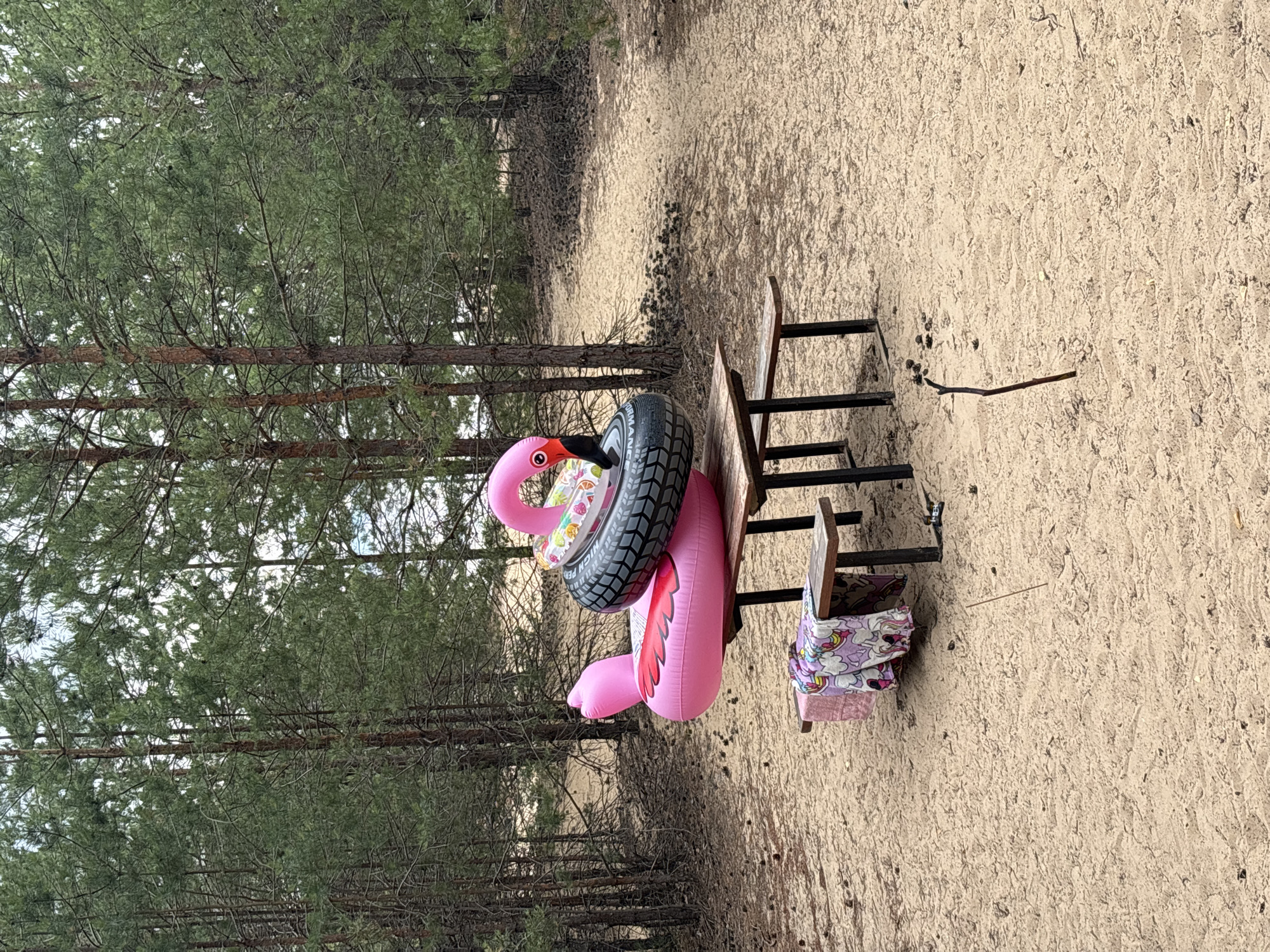 In the sandy clearing of a pine forest, a pink inflatable flamingo rests on a weathered wooden picnic table. The flamingo is adorned with a black tire and a colorful ring float around its neck. To the left of the flamingo, a picnic table bench displays a pink towel and a unicorn-patterned blanket. The ground is covered in sand, scattered with pinecones and a solitary twig protruding from the earth. The surrounding environment consists of a dense pine forest with tall, slender trees. The scene appears to be located in the city of Kzyl-Bairak, Russia.