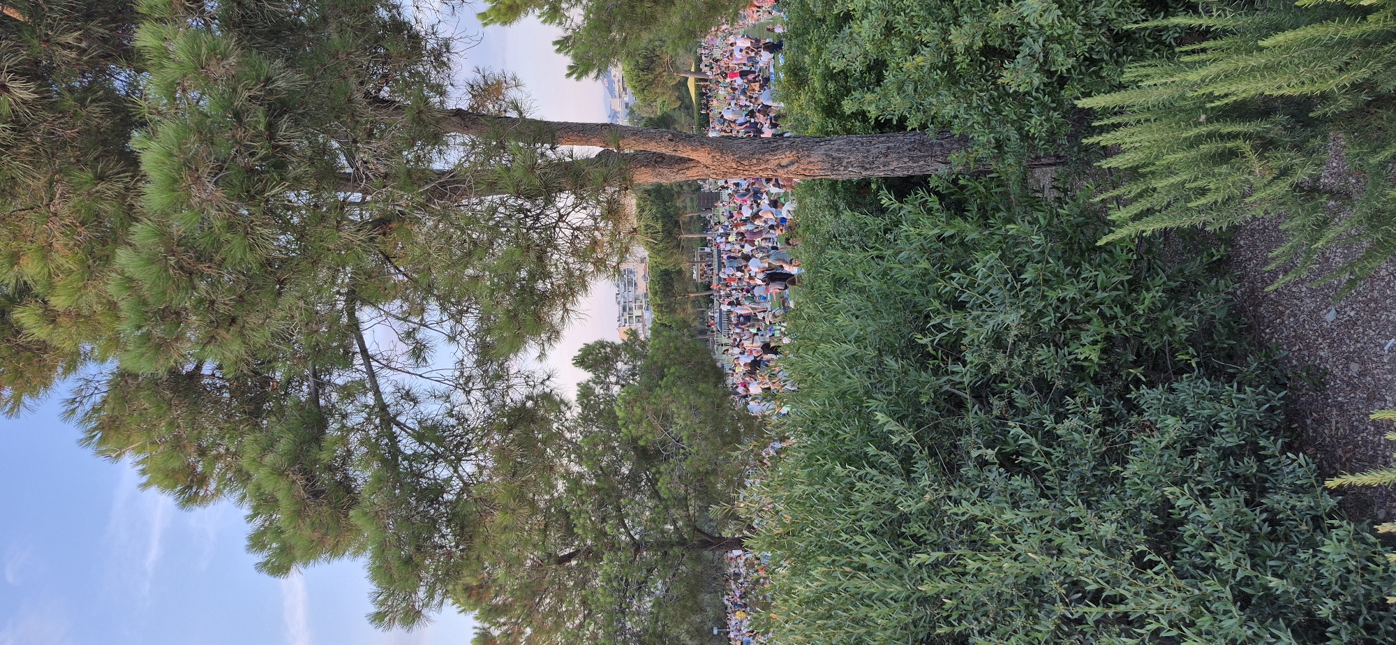 The image depicts an outdoor gathering of people in a park-like setting, likely in Kallithea, Greece, as indicated by the context. In the foreground, lush green bushes and rosemary plants obscure the lower portion of the scene. Behind the vegetation, a large crowd of people is spread out across a grassy area, many sitting on blankets or in chairs. They appear to be engaged in a communal activity, possibly a concert, festival, or picnic, given the presence of a stage-like structure and food vendors in the middle ground. Several trees are scattered throughout the area, providing shade. In the background, buildings and distant hills are visible, suggesting an urban or semi-urban environment. The sky above is a soft blue with hints of pink, indicating it might be late afternoon or early evening.