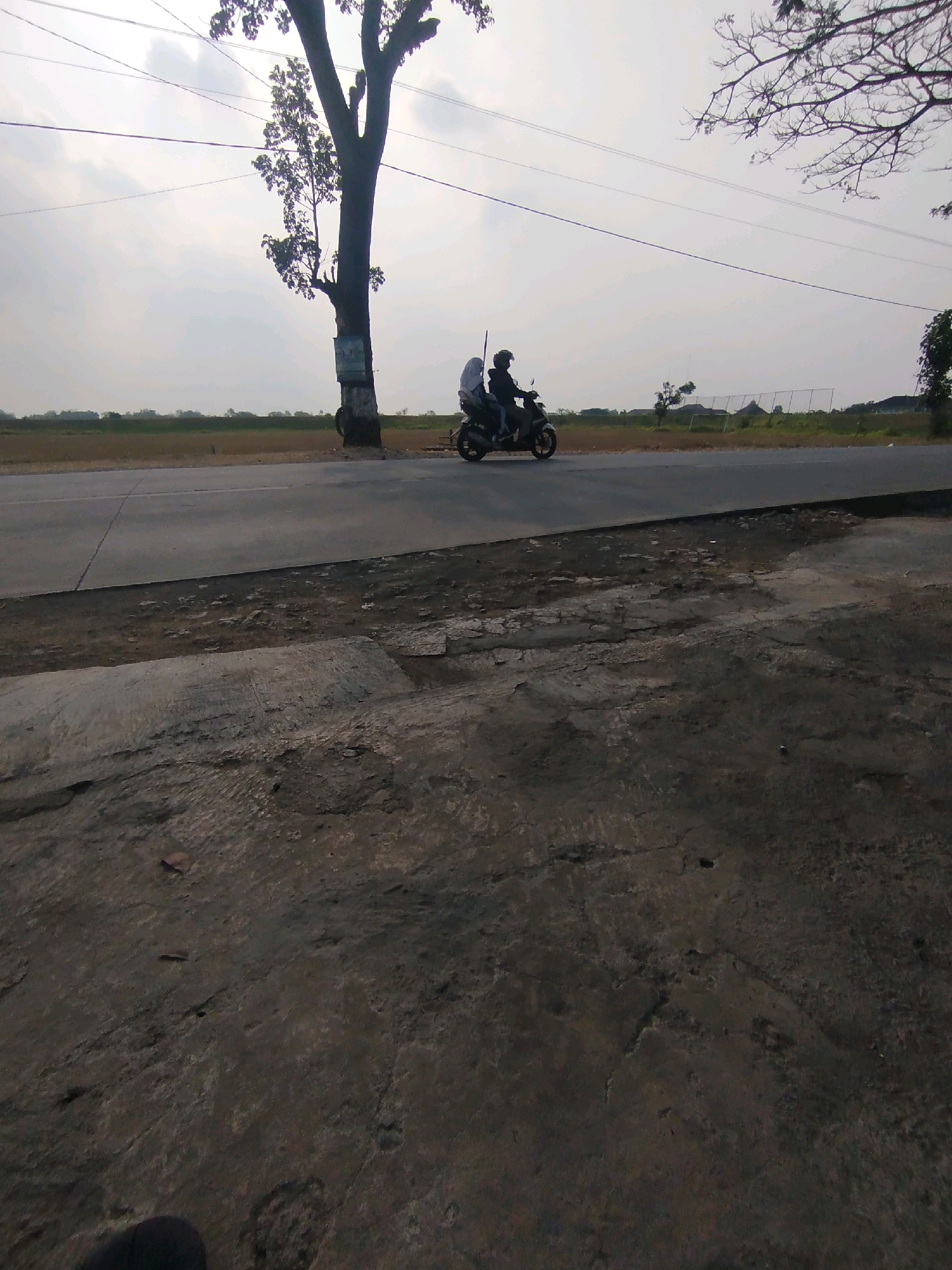 An outdoor, medium-shot, eye-level, horizontal, full-color photograph captures a scene from the city of Ngreco, Indonesia, likely on a hazy or overcast day. In the foreground, a textured, dark, gray concrete surface dominates, showing signs of wear and tear with visible cracks and debris. A narrow asphalt road runs parallel to this foreground surface, separating it from a field beyond.
In the middle ground, a tall, slender tree with sparse leaves stands near the edge of the road. A sign is affixed to the tree's trunk. Further along the road, a motorcycle with two occupants is in motion, heading from left to right. The driver is wearing a helmet, and the passenger behind them is also wearing a head covering. The motorcycle itself appears to be a dark color.
The background consists of a flat, open field, possibly agricultural land, stretching towards the horizon. Faint indications of buildings or structures can be seen in the distance, along with a fence line and scattered trees. Overhead, power lines crisscross the sky, contributing to the overall hazy atmosphere. The light is diffused, suggesting it is either early morning or late afternoon, or that the sky is heavily clouded.