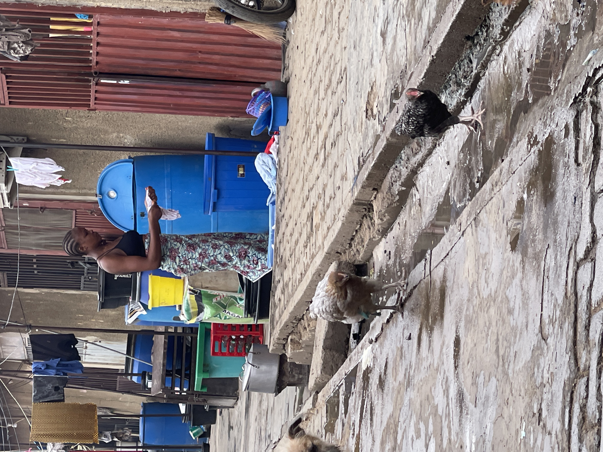 This image captures an outdoor scene depicting daily life in Nyanya, Nigeria. The central figure is a Black woman with braided hair, dressed in a black tank top and a floral-patterned skirt. She stands beside two large blue plastic water storage barrels, appearing to interact with one, possibly fetching water or washing an item held in her right hand, which is wrapped in a white cloth.
The setting is an informal, somewhat cluttered environment. Behind the woman, there are several corrugated metal walls or fences, and clothes are seen hanging on lines to dry, including white and dark garments. Various containers are scattered around, such as a black container with "FAMILY" written on it, a yellow plastic tub, red and green plastic crates, and a green bag with "MAGA" visible. A broom leans against a wall in the background.
In the foreground and to the right, a textured concrete ground or pathway, partially wet, leads towards a raised concrete ledge. Two chickens are present on this ledge: one black and white, and another lighter-colored, possibly brown or white, appearing to peck or walk. A dog's head is partially visible in the bottom right corner of the frame.
The bright, even lighting suggests it is daytime. The overall scene conveys a sense of routine activity in an urban or semi-urban area, characterized by utilitarian structures and the presence of both people and domestic animals.