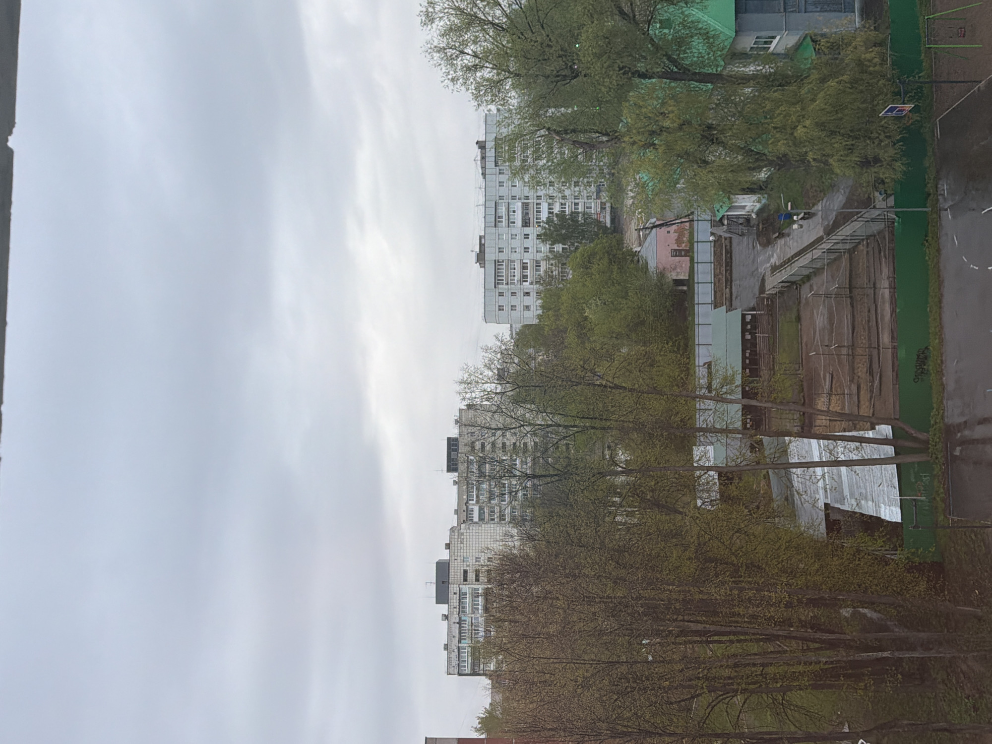 The image shows an urban landscape on an overcast day, possibly in Chaikovsky, Russia. Two multi-story apartment buildings are visible in the distance. In the foreground, there are trees with budding leaves, suggesting springtime. A sports area with a basketball court and metal fencing is also visible. The ground appears wet, indicating recent rain. There are no people visible in the scene.