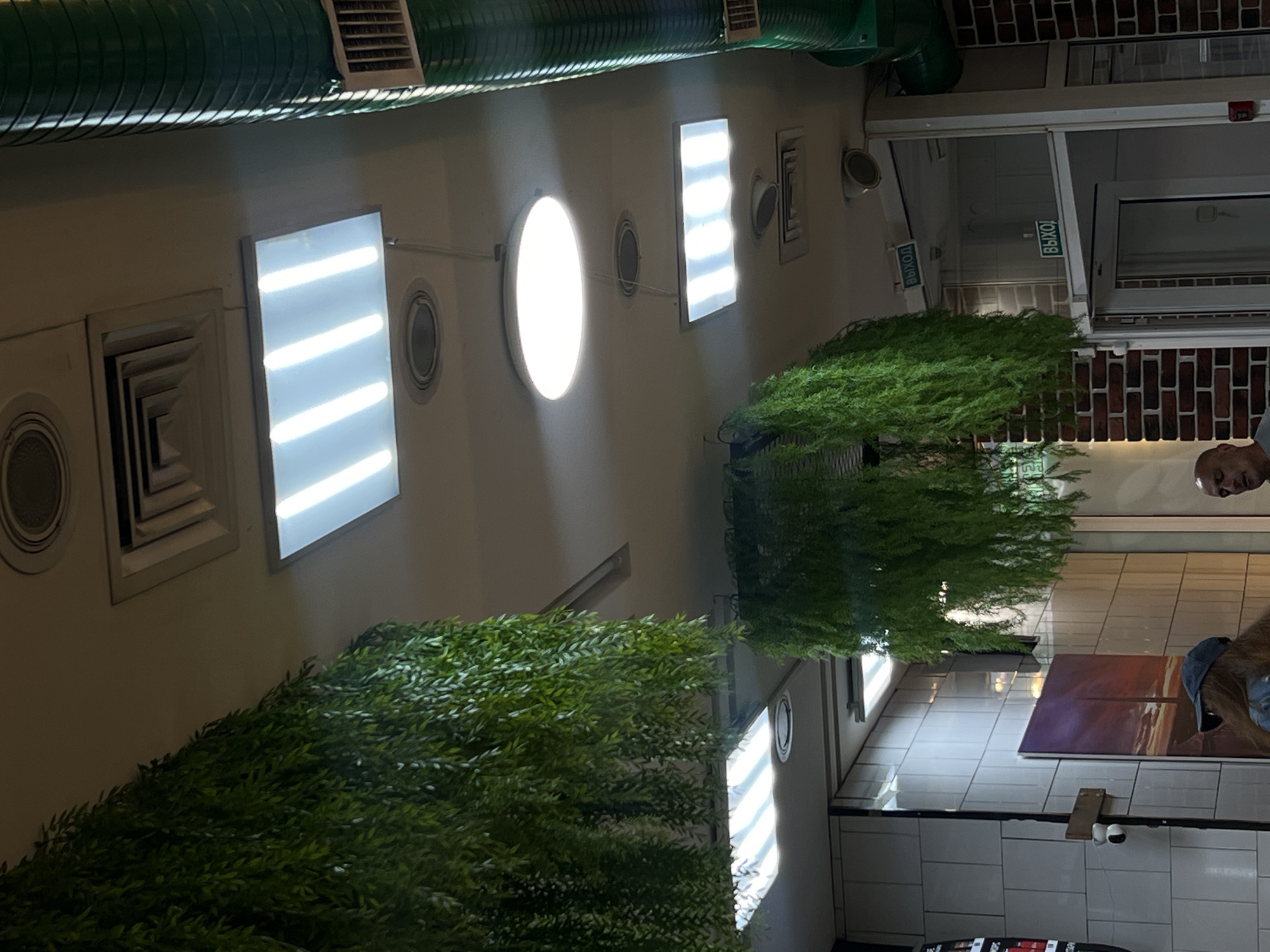 The image appears to be taken inside a commercial establishment, possibly a cafe or restaurant, in Saint Petersburg, Russia. The ceiling is high and features recessed lighting panels and ventilation ducts. Artificial green plants are suspended from the ceiling, creating a decorative element. On the walls, there is white tiled material and brickwork. In the background, two doors are visible, each with a green illuminated sign that reads "ВЫХОД" (Exit). One of the doors is ajar. In the foreground, parts of two individuals are visible: a person wearing a dark cap and a denim jacket, and another person's head and shoulders. The overall impression is of an indoor commercial space with a modern yet somewhat casual aesthetic.