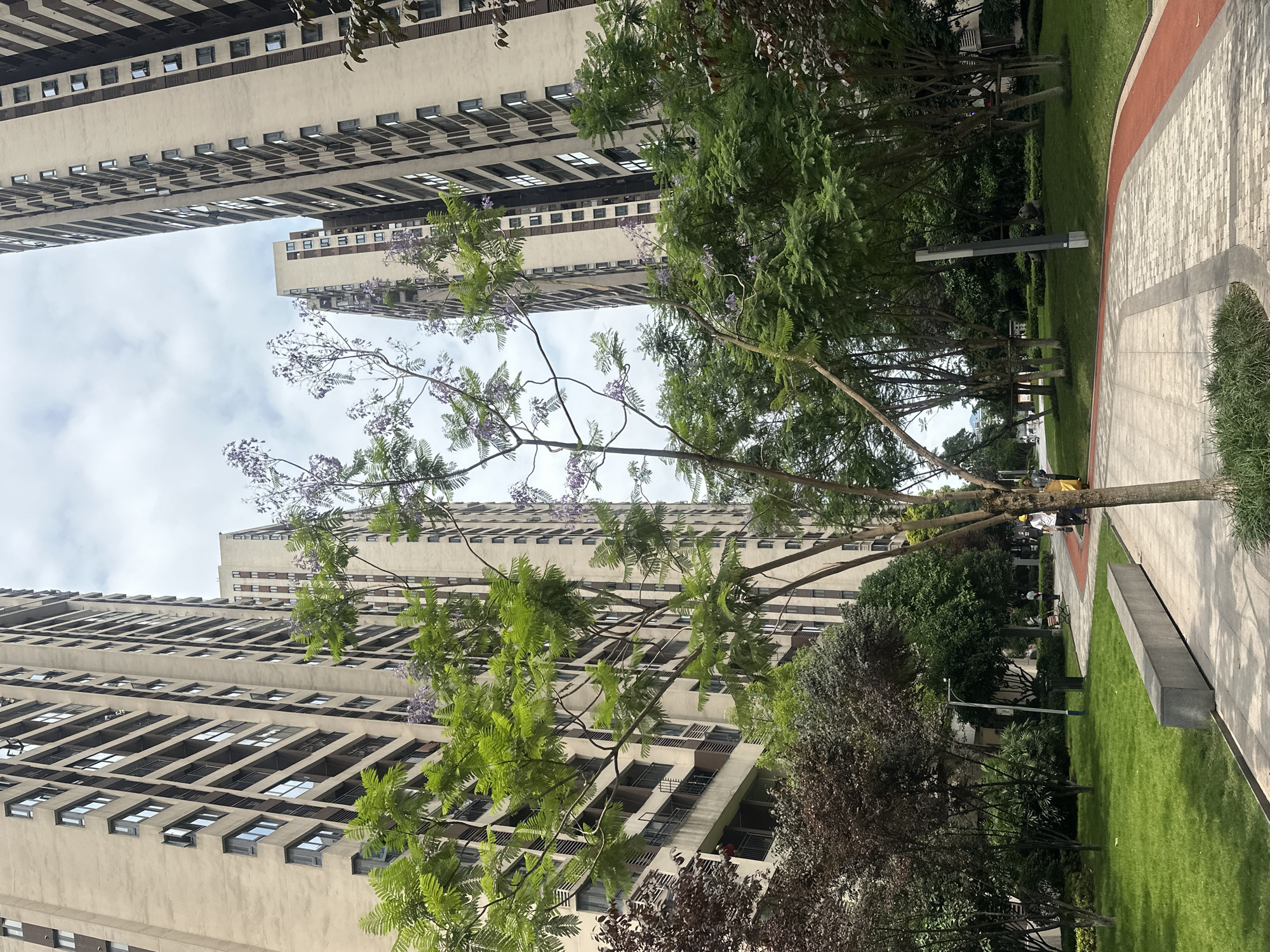 The image depicts a view upwards in an urban park setting located in the Chongqing High-tech Zone, China. Tall, pale-colored apartment buildings with rows of windows dominate the background, stretching high into a cloudy sky. A tree with green leaves and some purple flowers stands in the foreground, partially obscuring the buildings. Below the tree is various other tree and shrubbery. A walkway with a red border is visible in the bottom right corner of the frame. Some people are sitting on benches in the background on the right side.