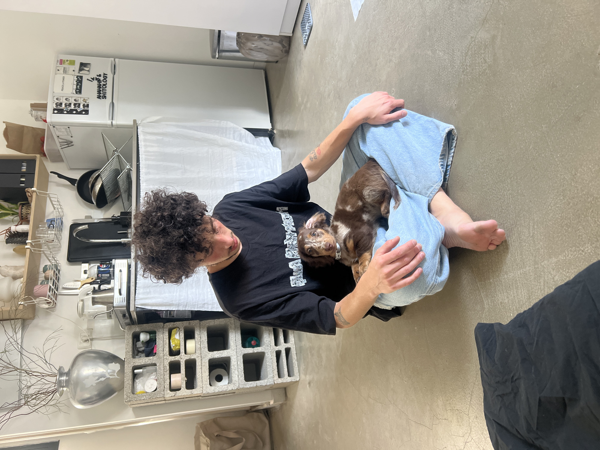 In an indoor residential setting in Tel-Aviv, Israel, a young adult male with dark curly hair is seated barefoot on a light grey concrete floor, his legs crossed. He wears a black t-shirt and light blue loose-fitting pants. His right forearm displays a tattoo featuring red lips and linear designs. He is looking down at a small, brown dapple long-haired dachshund puppy, wearing a light-colored collar, resting calmly on his lap. To the left of the male, a black piece of fabric lies on the floor. The background on the left reveals a stacked unit of grey concrete cinder blocks serving as shelves, containing various household items, and topped by a large silver vase holding dry branches. Above this, a white electrical outlet is visible on a light-colored wall. The central and right background features a kitchen area with white walls, light wood open shelving holding plants, small sculptures, and kitchenware. A counter draped with a white cloth supports coffee-making equipment, including two metal kettles and a scale, alongside bottles and a black dish drying rack with a frying pan and another pan. A stainless steel sink and faucet are present. To the far right, a white refrigerator is covered with various magnets and stickers, notably "PEACE IS POWER" and "AHAHAHAH & SHITOLOGY." A grey trash can and a decorative wooden object are situated next to the refrigerator.