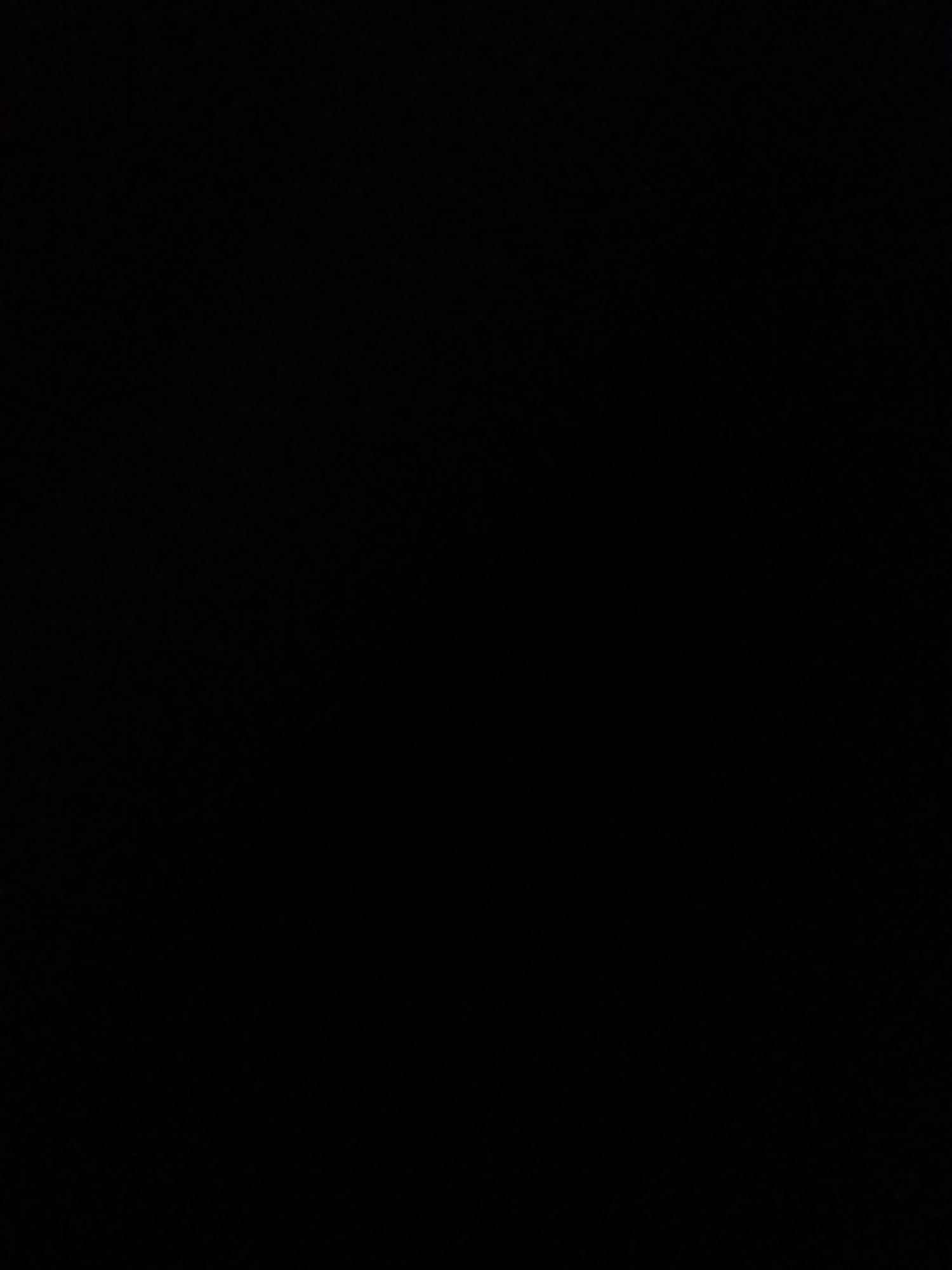 The image is entirely black, offering no visual information about subjects, activities, notable details, or visible text. Therefore, it is impossible to provide a description based on the provided media file.