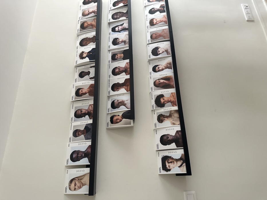 The image displays a bright, white interior wall featuring three vertical, narrow black display shelves or racks. Each shelf holds a stack of numerous identical-sized cards or thin booklets, arranged in a way that showcases the front cover of each item.
Each card/booklet features a headshot or bust shot of a different individual, primarily young adults, seemingly models. The individuals depicted exhibit a wide range of diversity in terms of gender, ethnicity, hair styles, and skin tones. Their expressions are generally neutral, characteristic of professional model portfolio shots.
Along the left edge of each card, oriented vertically, the text "CLASSIC MODELS" is clearly visible in black font against a white background. Below this branding, the first name and sometimes an initial of the last name of the individual pictured on that card are printed.
Some of the visible names, from top to bottom on the leftmost shelf, include "OLLIE", "ERIK", "GOVERNOR", "AYFRAN L", "AGUS T", "MATTHEW J", "ANDREI", "MATTHEW", "NOAH N", "CHLOE M", and "LUCA". On the middle shelf, visible names include "ALEXANDRA K", "CHLOE S", "CHIMWE SAM", "MARGO L", "ANNA", "STEPHANIE G", "ADAM K", "MARA", "SEAN", "ARION", "DANIEL R", and "KIM P". On the rightmost shelf, visible names include "MARGO L", "LUKAS J", "LAW V", "MATTHIAS B", "MELODY", "ACHANA", "TYCHO", "MATTHEW B", "SOPHIE B", "JOEL", "FINN", and "LIAM F".
The arrangement suggests a display of model portfolios, possibly in an agency, studio, or a public exhibition space. The lighting is bright and even, casting minimal shadows and illuminating the white wall and the display contents uniformly. On the far right of the wall, a standard white electrical outlet with two sockets and a possible light switch are visible. The image is captured from a slightly elevated and angled perspective, looking up and across the wall.