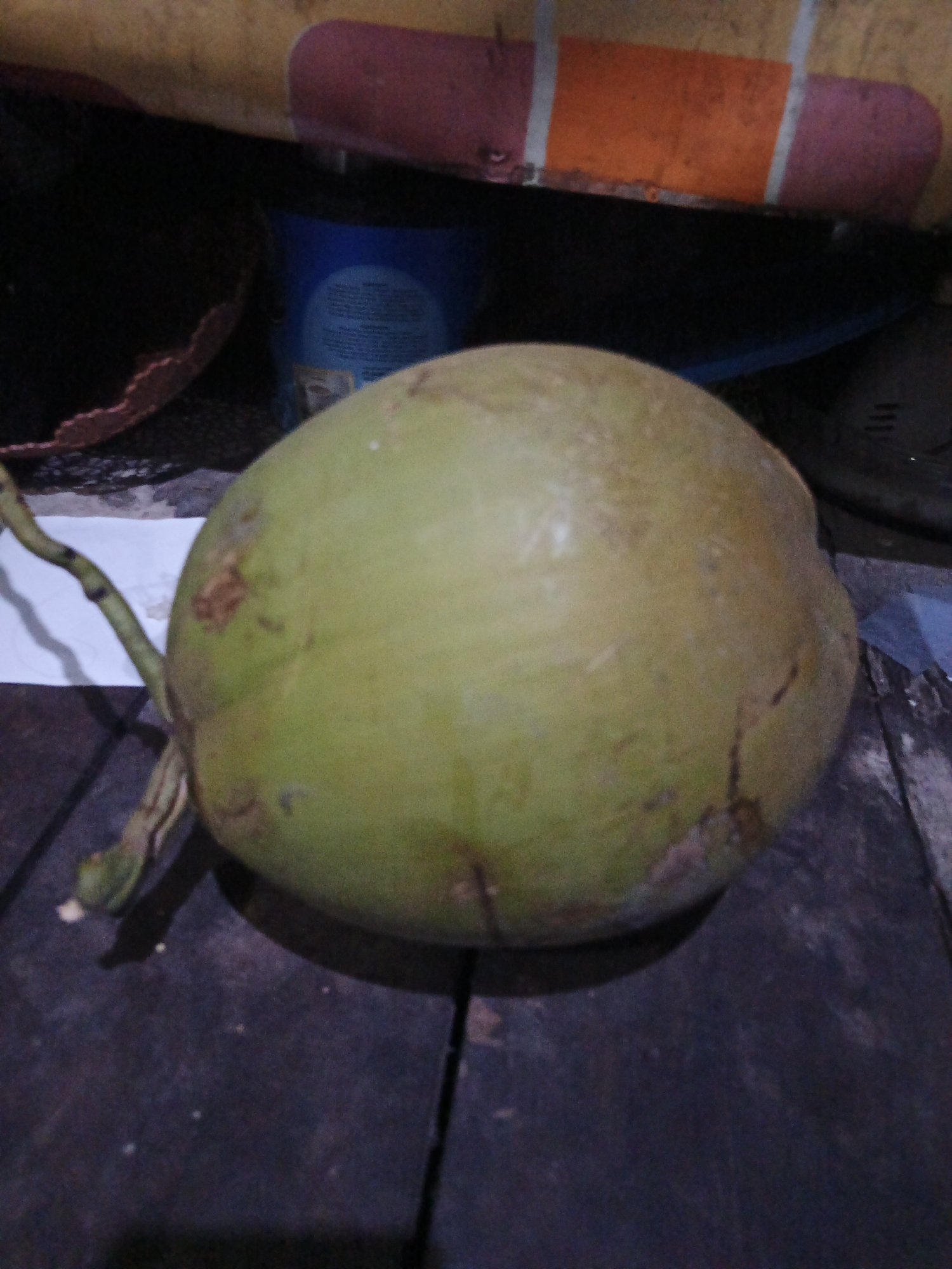 A green coconut with a stem is positioned on a dark wooden surface. The coconut is the primary subject, occupying the center and right portions of the frame. The background is dark and cluttered, with a hint of a blue container and a colorful, striped object, possibly a piece of furniture or signage, at the top. The scene appears to be set in an outdoor or semi-outdoor environment, potentially in Sinar Bulan, Indonesia, given the context. There are no people visible in the image.