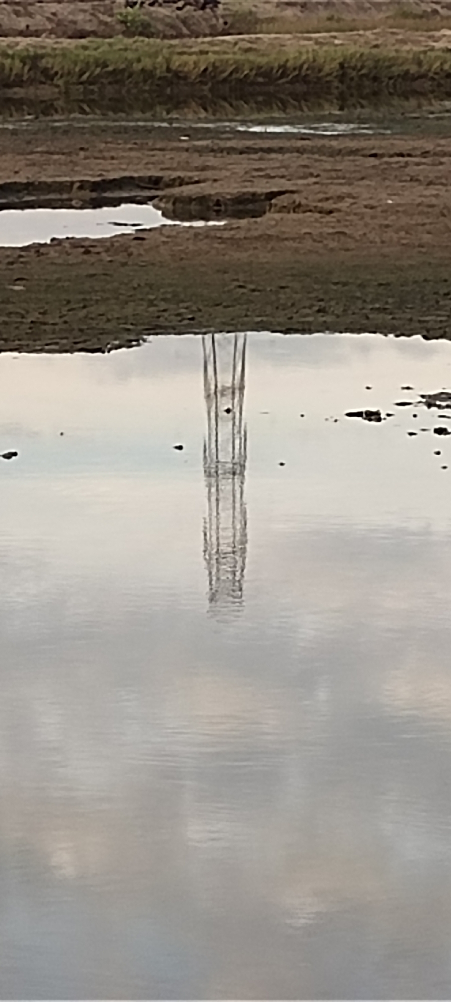The image depicts a reflection of a transmission tower in a body of water, likely a tidal flat or estuary. The foreground shows the water's surface with ripples and a few dark objects that could be debris or small organisms. In the middle ground, the reflection of the tower is clearly visible, appearing as a symmetrical, lattice-like structure. The background consists of a muddy, textured terrain with patches of green vegetation, suggesting a coastal or marshy environment. The sky's reflection is visible in the water, appearing as muted tones of grey and white, indicating overcast conditions. Given the context of Lhokseumawe, Indonesia, this scene is likely a common sight in the city's coastal areas, where industrial infrastructure like transmission towers is often situated near water bodies. The absence of people suggests a quiet, possibly uninhabited area at the time the photograph was taken.