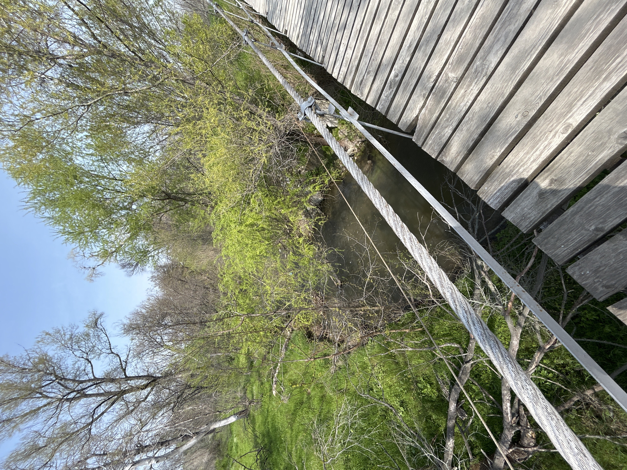 A slightly angled, wide shot focuses on a wooden suspension bridge. The bridge is constructed with parallel, horizontal wooden planks running from the upper right corner of the frame. Two thick, gray steel cables, secured with silver metal clamps, stretch along the sides of the bridge. Underneath the bridge, a small stream flows, surrounded by dense foliage. Green grass and trees with budding leaves create a vibrant, natural setting. Above the treeline, a pale blue sky is visible. The scene suggests a natural park or green area, potentially located in Plovdiv, Bulgaria.