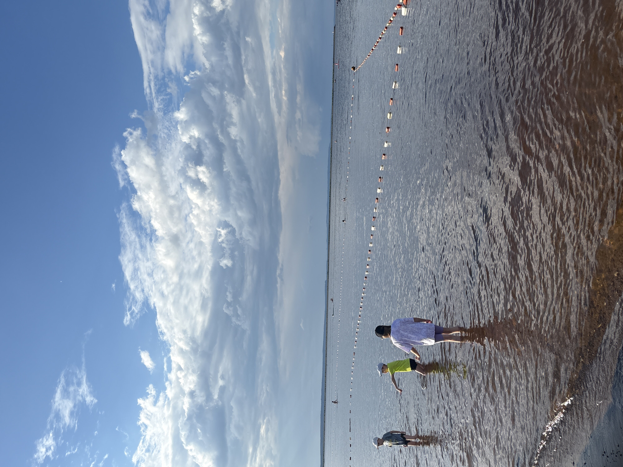 The image depicts a serene day at a shallow body of water, possibly a lake or a wide river, under a vast, partly cloudy sky. The water is calm, with gentle ripples reflecting the sunlight, creating a shimmering effect. The sky is a brilliant blue, interspersed with large, fluffy white clouds that are characteristic of a fair weather day.
In the foreground, three individuals are visible wading in the water. The person furthest to the right appears to be an adult, wearing a white top and purple shorts. To their left, a child in a bright yellow t-shirt and dark shorts is wading, with their left hand extended as if playing or exploring. The third individual, seemingly another child, is further to the left and in the background, wearing a dark shirt and shorts and a light-colored hat. Their presence suggests a leisurely outing, perhaps a family day by the water.
In the distance, a line of buoys or markers stretches across the water, delineating an area or a swimming zone. A few other individuals can be seen further out in the water, also appearing to be enjoying the aquatic environment. The horizon is marked by a faint, hazy line of land, suggesting a wide, open expanse. The lighting indicates it is likely daytime, possibly late afternoon given the low angle of the sun casting distinct shadows on the water. The overall mood is one of peacefulness and simple enjoyment of a summer day. There is no visible text in the image. The location context provided is Chaikovsky, Russia, which aligns with a temperate climate and the presence of such bodies of water.