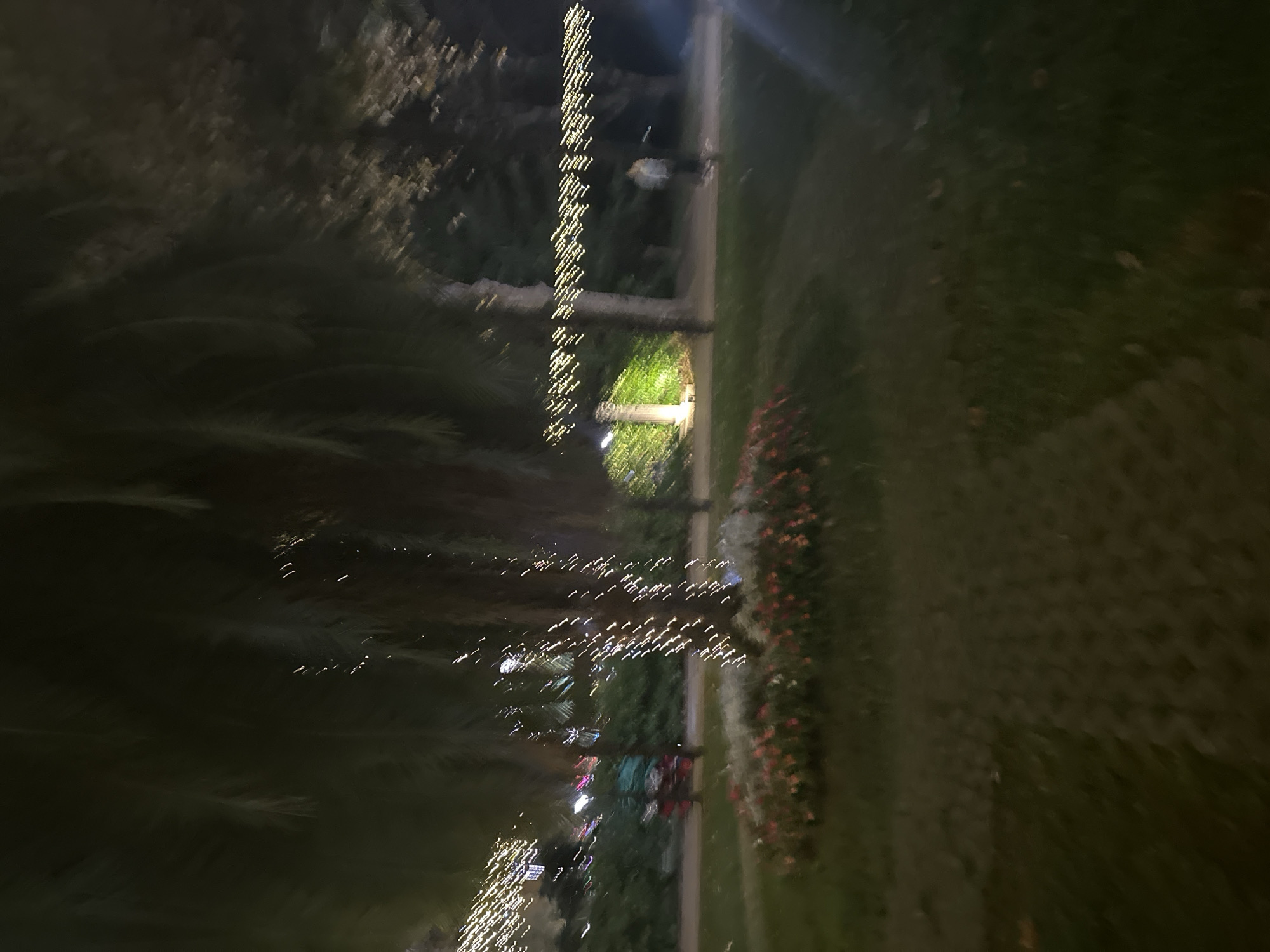 The image depicts a park scene at night, decorated with numerous string lights. The lights are draped across trees and pathways, creating a festive atmosphere. A bed of flowers, primarily red and pink, is visible in the foreground, bordering a grassy area. In the mid-ground, a pathway runs horizontally, with a few blurred figures walking along it. Trees with string lights wrapped around their trunks are prominent. In the background, more trees and some distant structures can be seen, also illuminated by lights. The overall impression is one of a well-lit, outdoor public space during an evening event or holiday season.