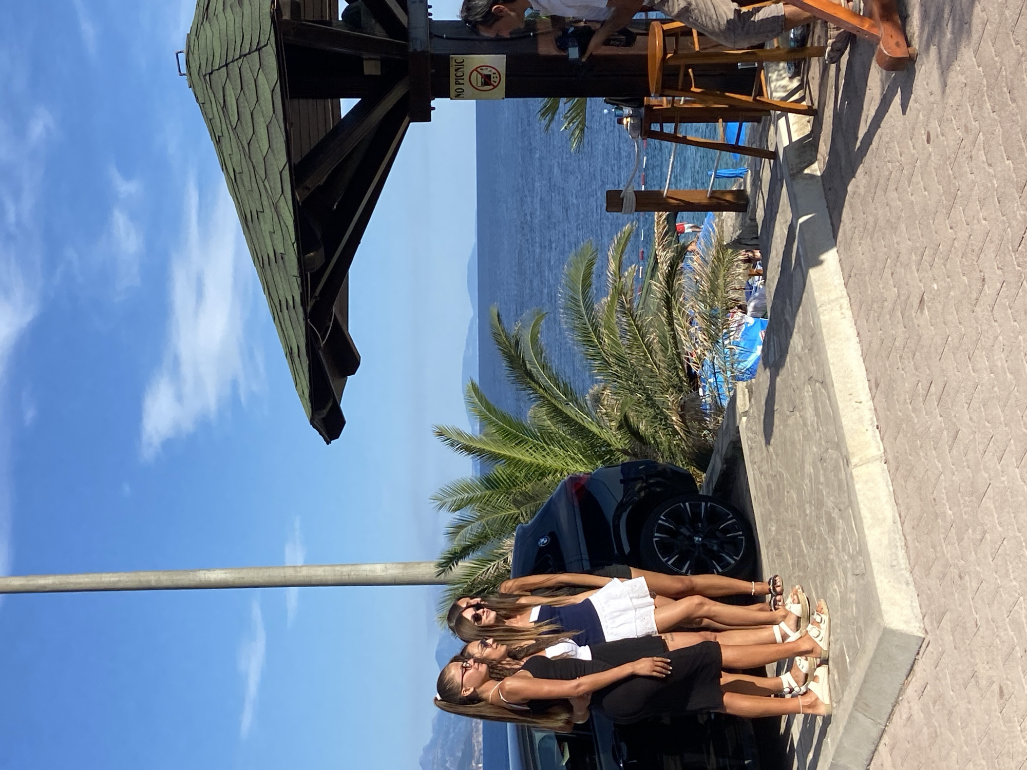 Four young women in casual summer attire are posing for a photo in front of a dark-colored SUV, possibly a BMW. The woman on the far left wears a black dress, the next wears a white top and black skirt, the third in the middle wears a blue top and white skirt, and the woman on the far right wears a black top. They are standing on a paved area near the water, with palm trees and a structure with a green roof in the background. The sea is visible beyond the paved area, with distant mountains on the horizon. A sign reading "NO PICNIC" with a graphic of a crossed-out picnic basket is visible on a wooden post. A man holding a camera is partially visible on the right side of the image, appearing to film or photograph the women. The scene suggests a casual outdoor gathering or photo shoot near the coast. The city of Prijevor, Montenegro is a rural area known for its scenic landscape and proximity to the Adriatic Sea, making this scene consistent with a location in or near the region.