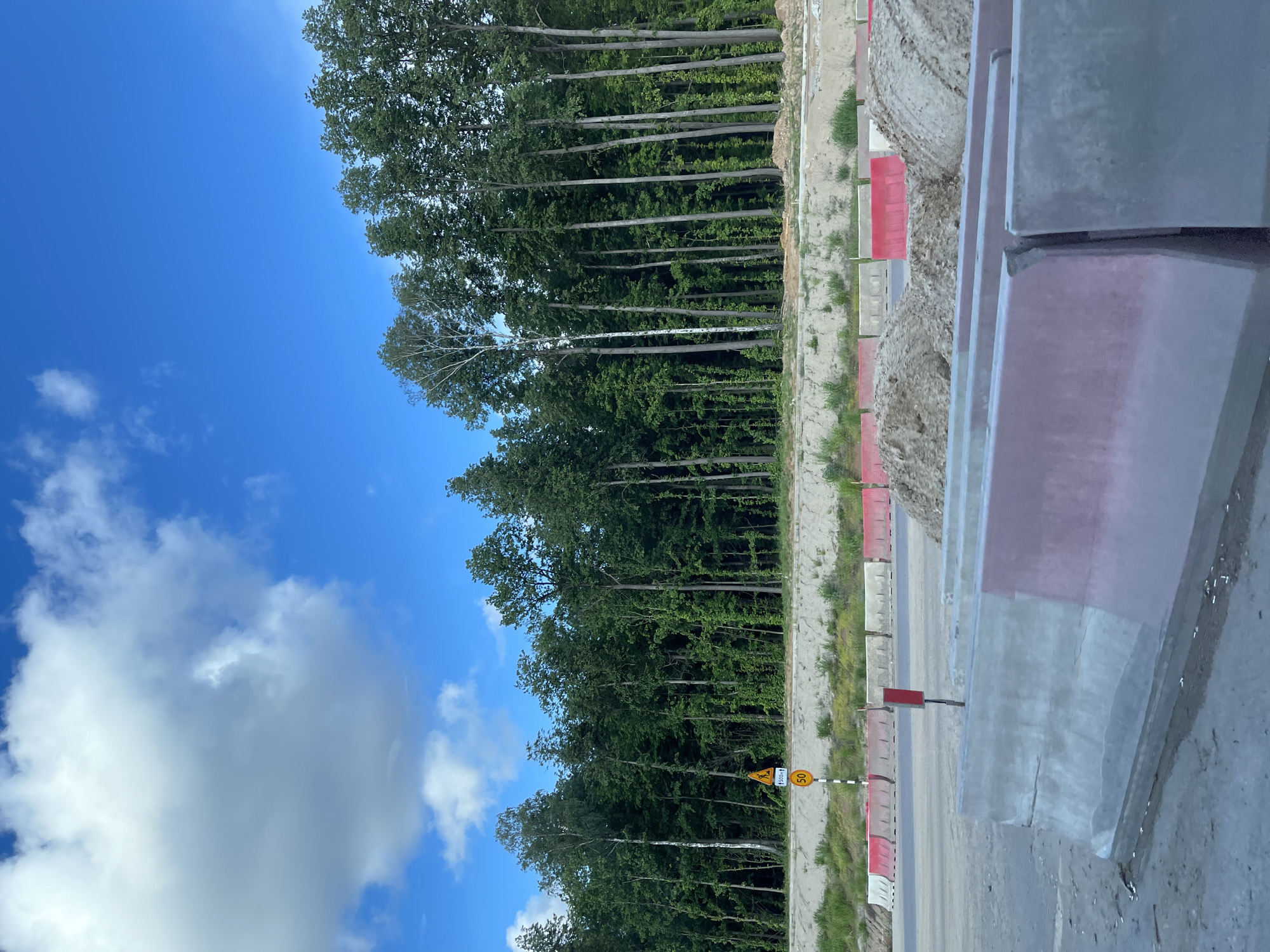 The image depicts a construction zone next to a forest, presumably in Novodrozhzhino, Russia. A line of tall, slender trees marks the forest edge against a vibrant blue sky with scattered white clouds. A roadway or path is bordered by alternating red and white concrete barriers. A yellow speed limit sign is visible. In the immediate foreground, large gray concrete slabs are stacked vertically.