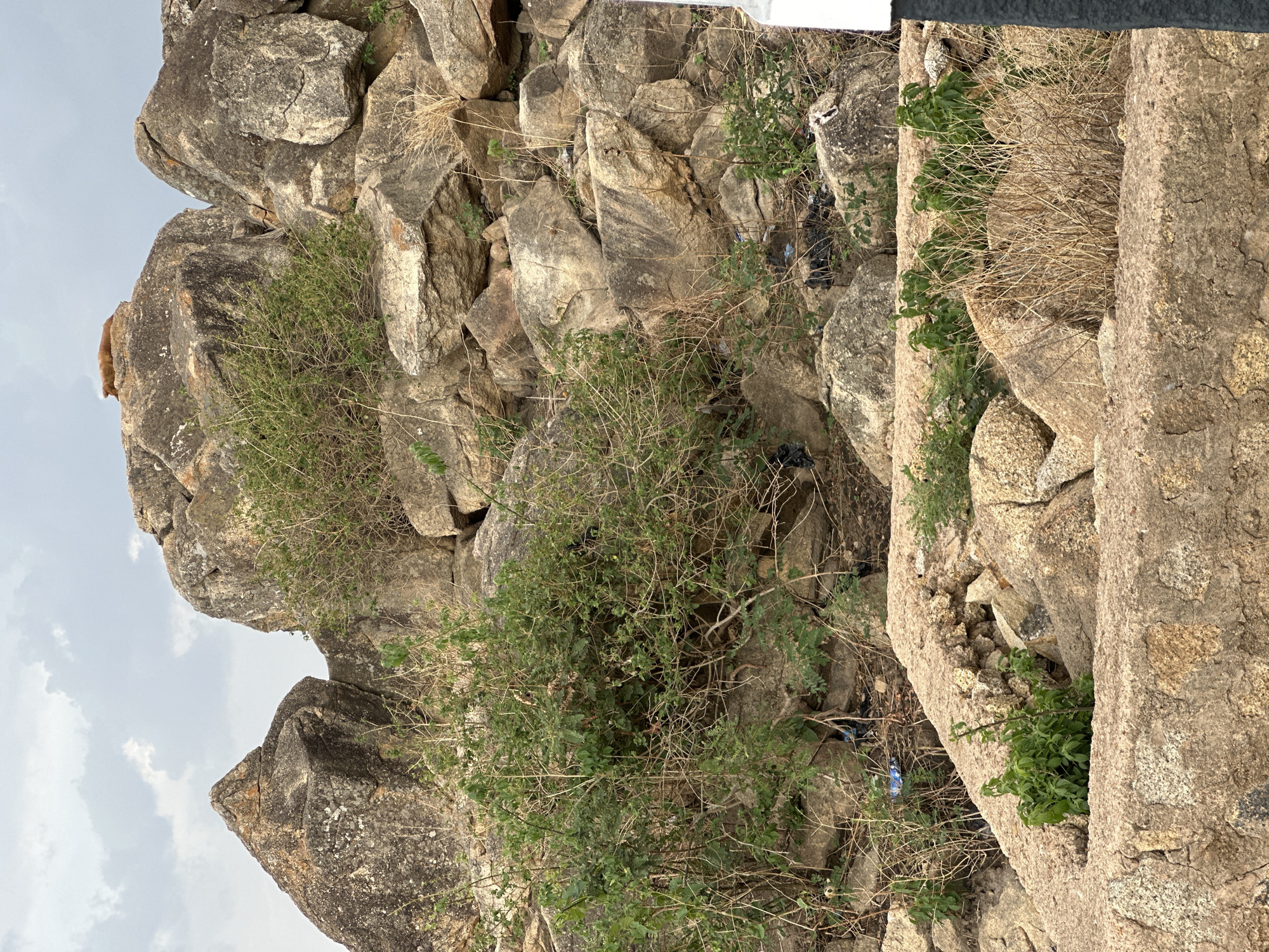 A view of Plateau State in Jos, Nigeria, showcases a rocky, mountainous landscape with vegetation. The rocks are predominantly gray and beige with patches of greenery interspersed among the stones. Some smaller shrubs and grasses are visible. There are rock walls or stairs. Litter is scattered within the rocks. The sky is visible and partially obscured by the rocks.