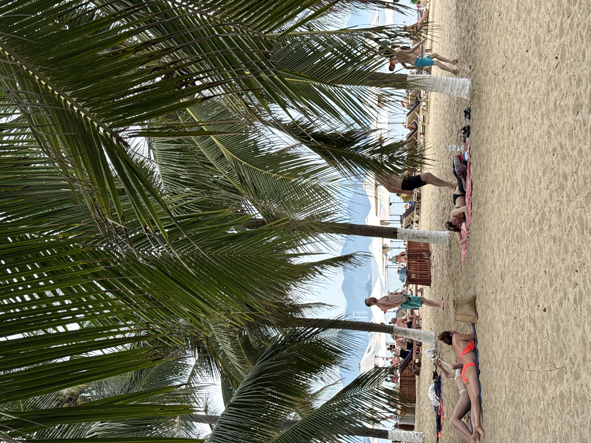 This image depicts a sandy beach scene at Nha Trang, Vietnam, likely in the vicinity of Tran Phu Beach, known for its palm trees and bustling atmosphere. In the foreground, two women are sunbathing on towels, with one in a neon orange bikini and the other in a black bikini. A tan tote bag rests between them. Further back, a man in green swim trunks stands looking towards the water, while another man in black shorts is captured in motion. Beach umbrellas and lounge chairs are visible in the mid-ground, indicating a popular recreational area. The background shows the ocean and a hazy coastline with buildings and hills. The scene is framed by the fronds of several palm trees, characteristic of Nha Trang's tropical landscape.